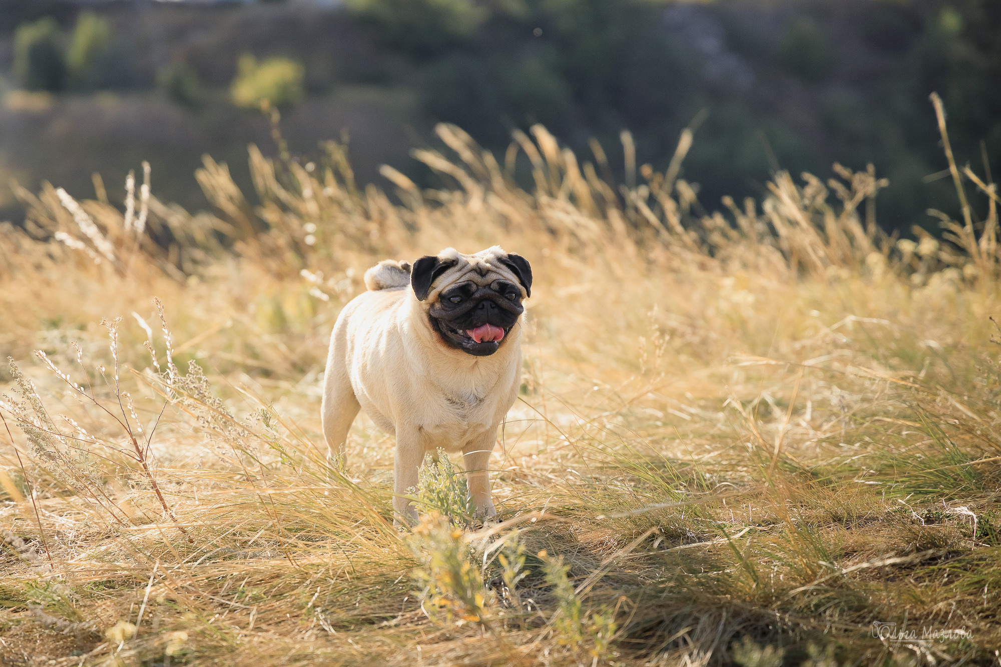 Фотосессия в Саратове. Фотограф в Саратове Ольга Мазлова
