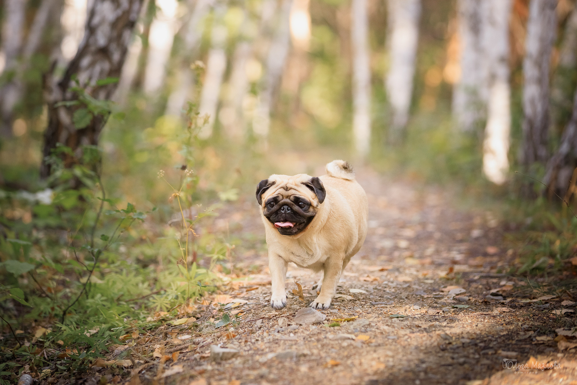 Фотосессия в Саратове. Фотограф в Саратове Ольга Мазлова