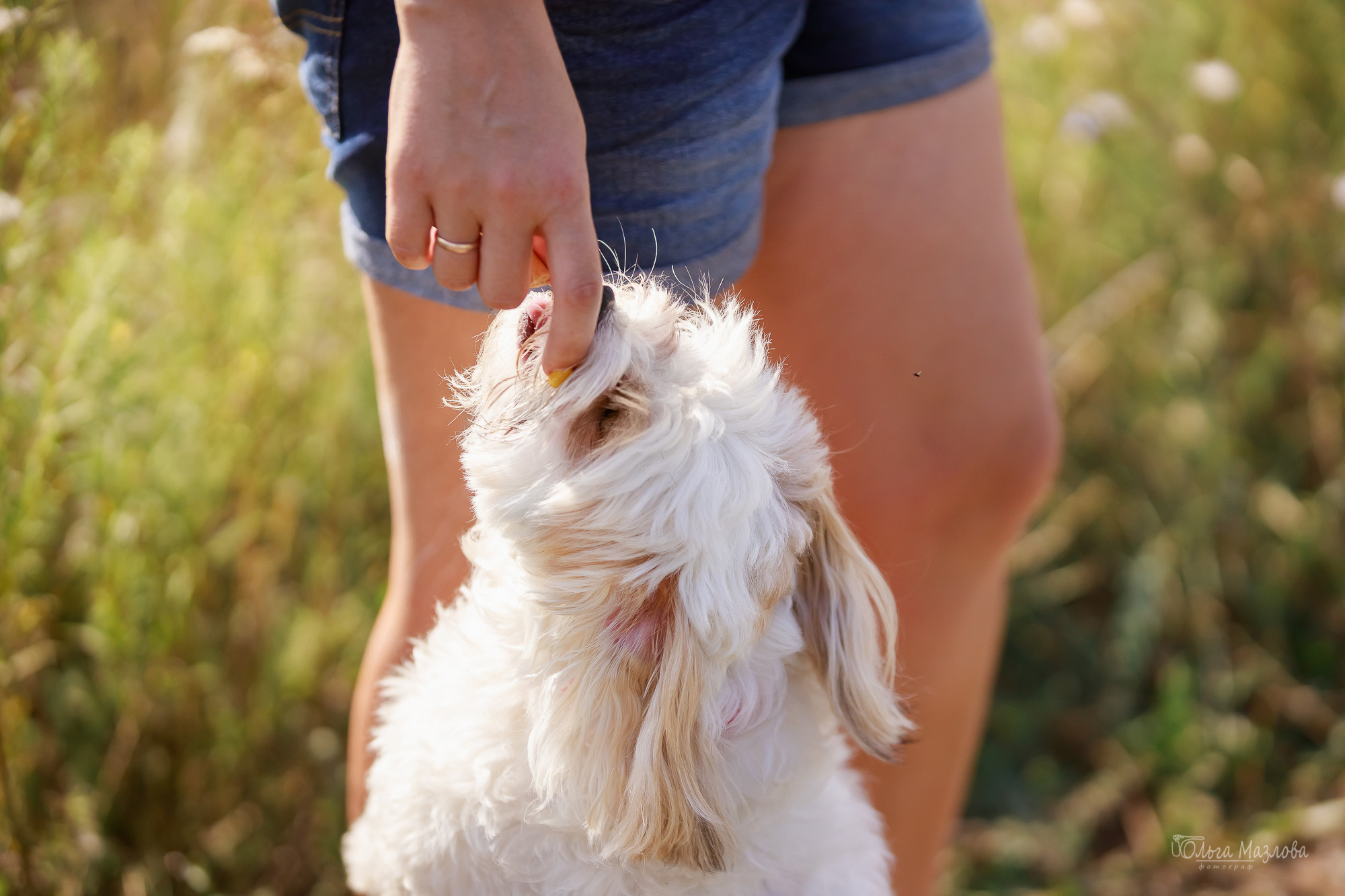 Семейная фотосессия в Саратове. Фотограф в Саратове Ольга Мазлова