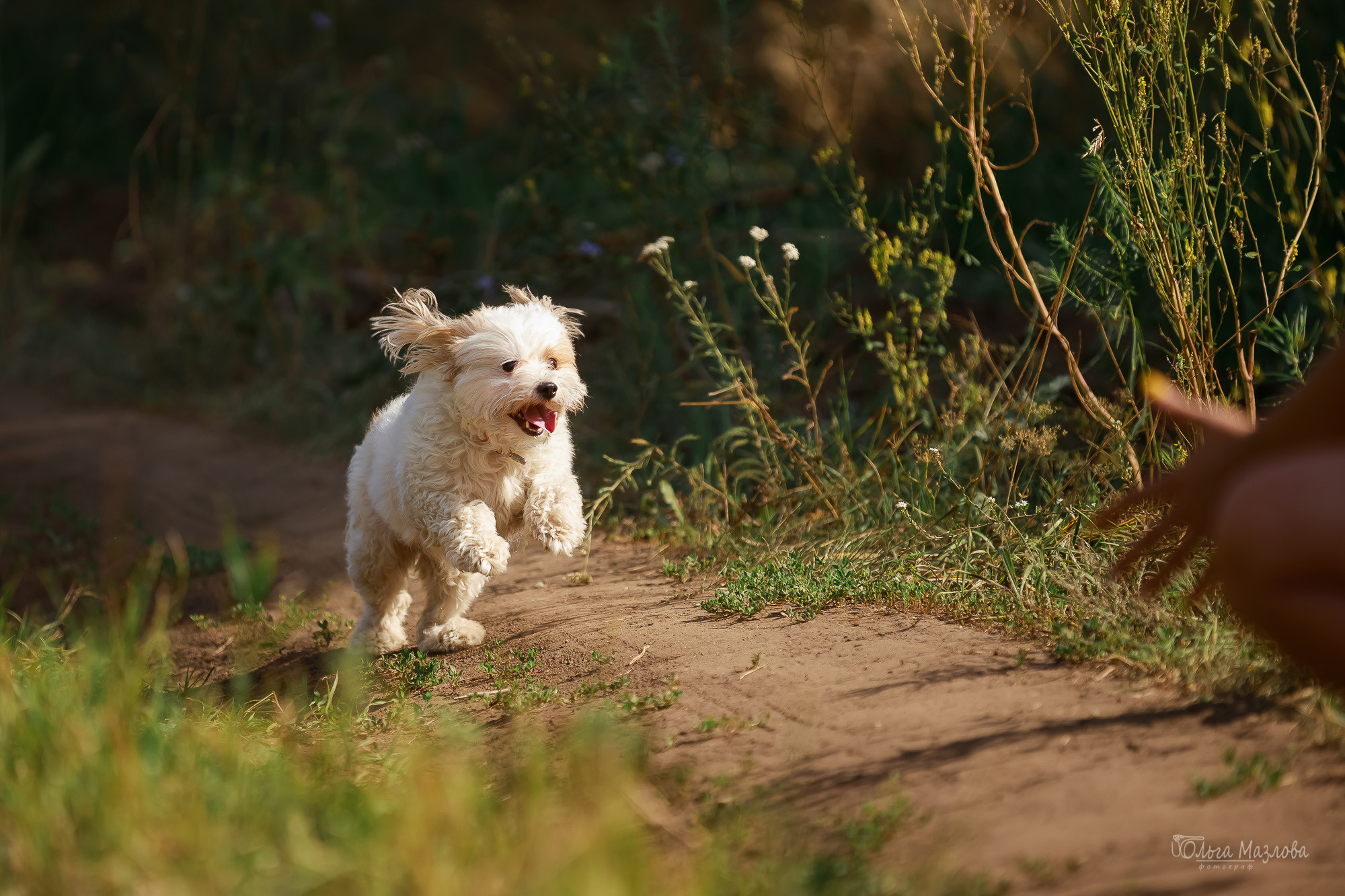 Семейная фотосессия в Саратове. Фотограф в Саратове Ольга Мазлова