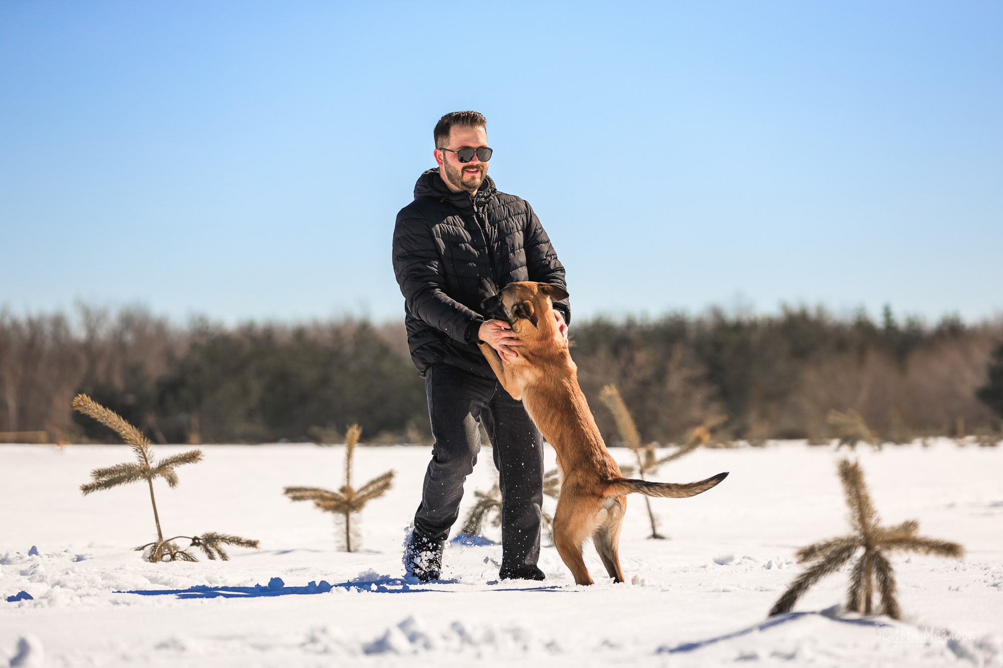 фотограф-анималист Саратов
