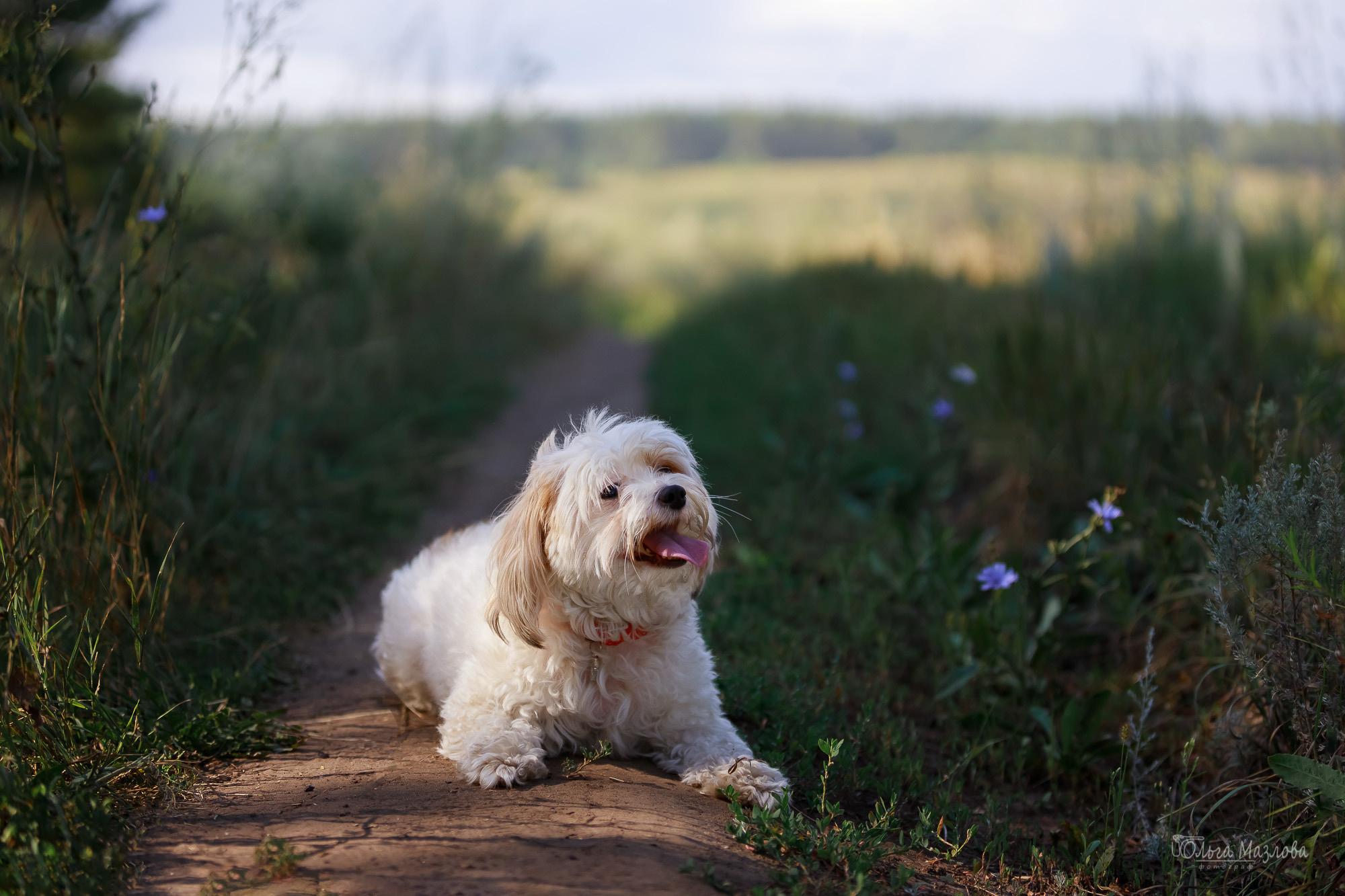 Семейная фотосессия в Саратове. Фотограф в Саратове Ольга Мазлова