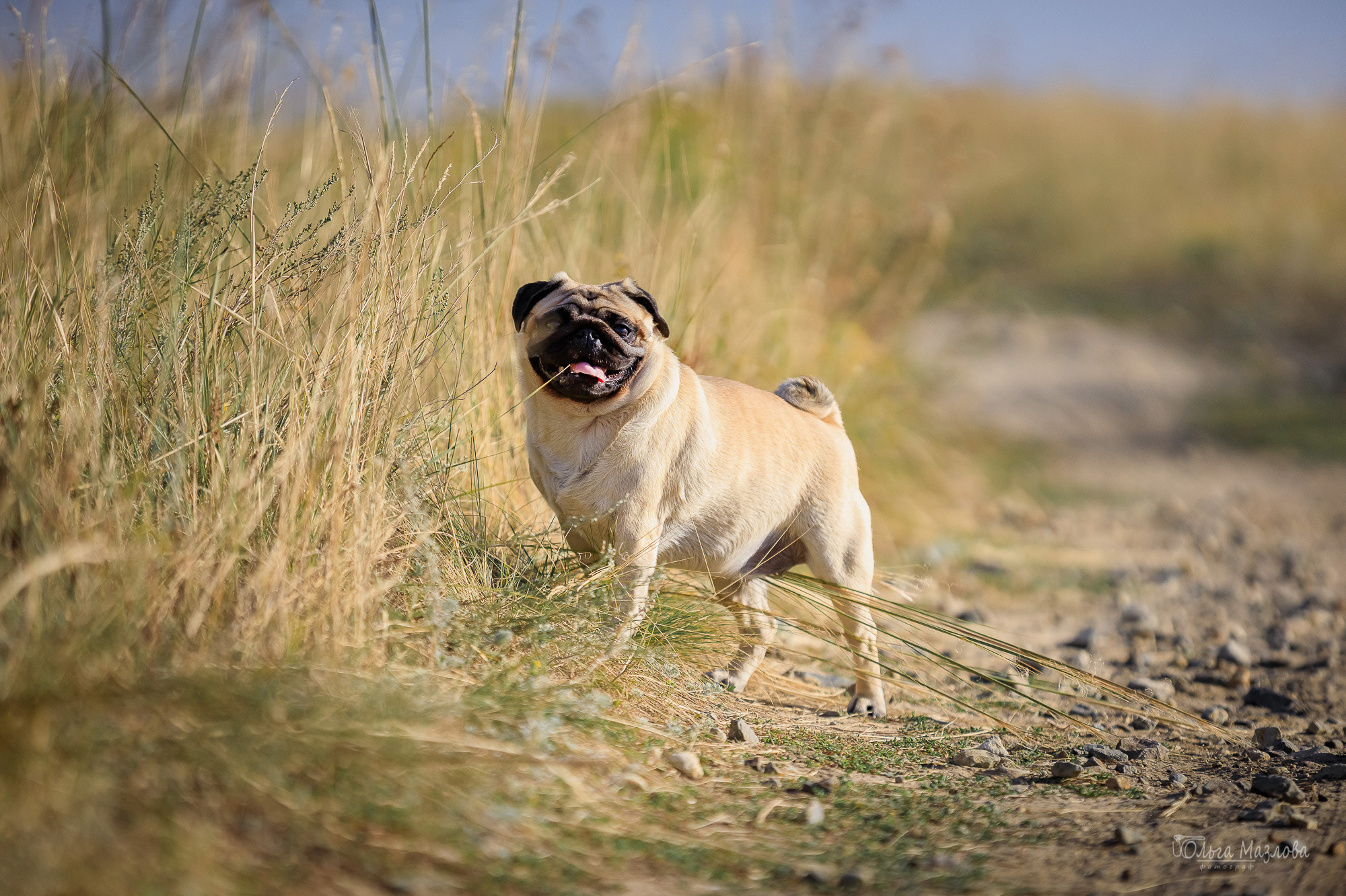 Фотосессия в Саратове. Фотограф в Саратове Ольга Мазлова