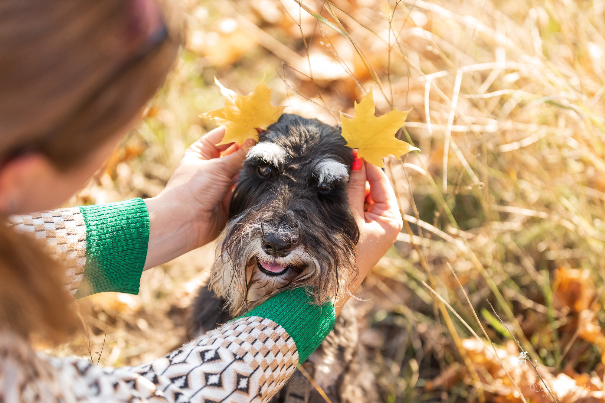 фотограф анималист в Саратове