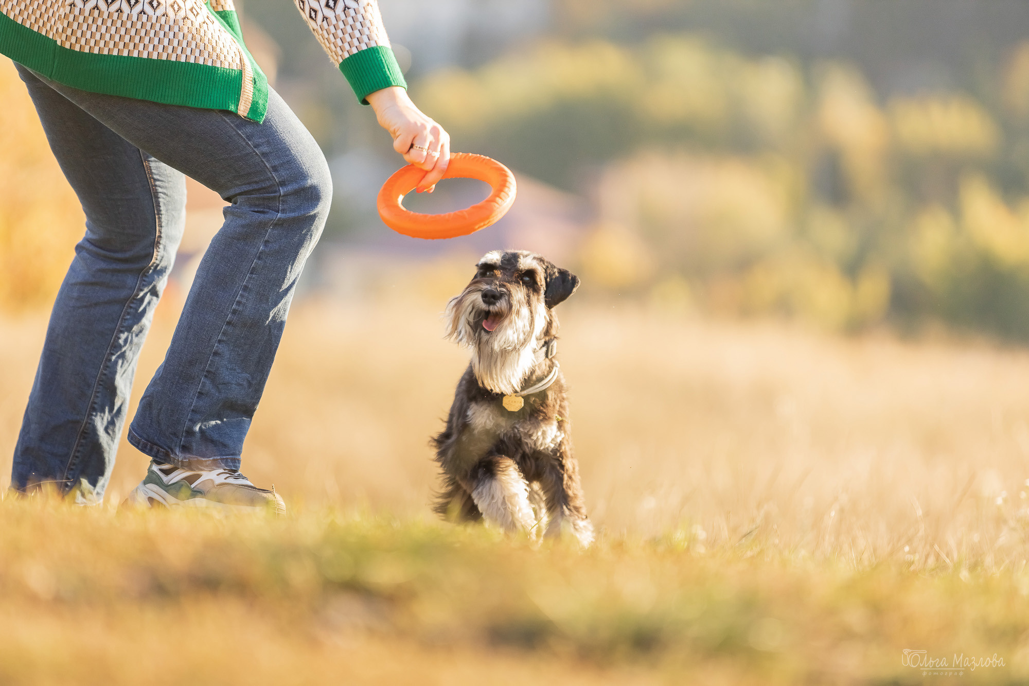 Осенняя фотосессия для Санты. Фотограф в Саратове Ольга Мазлова