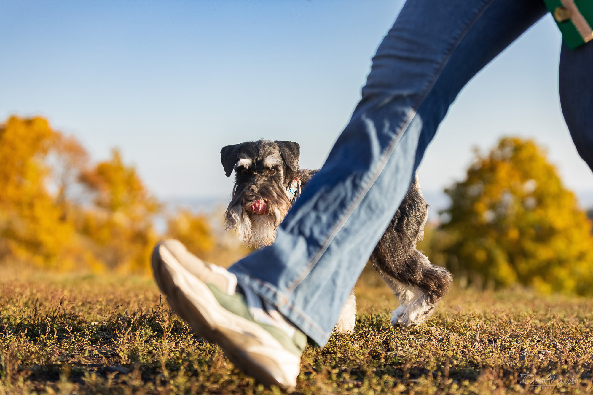 Осенняя фотосессия для Санты. Фотограф в Саратове Ольга Мазлова
