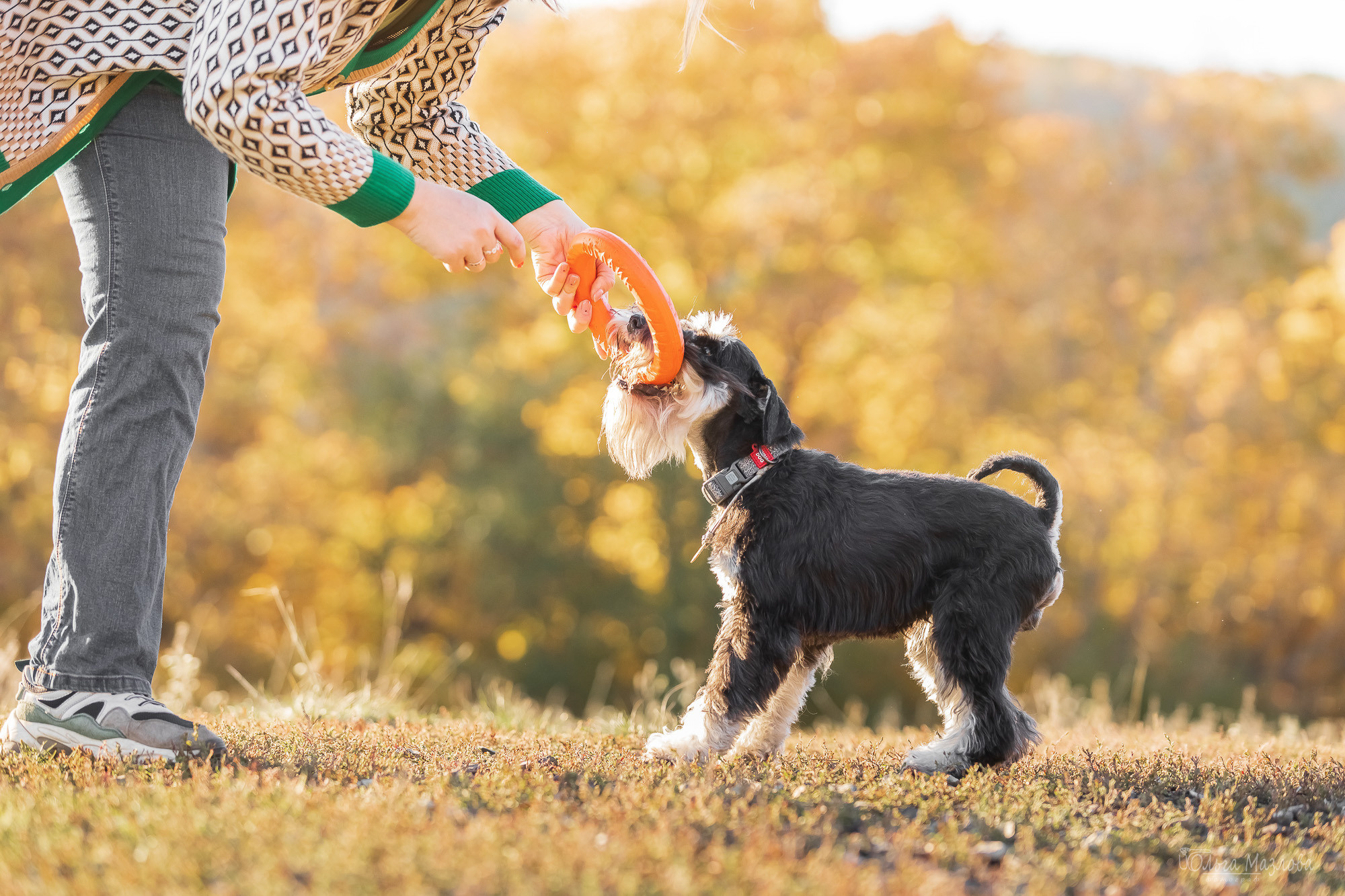 Осенняя фотосессия для Санты. Фотограф в Саратове Ольга Мазлова
