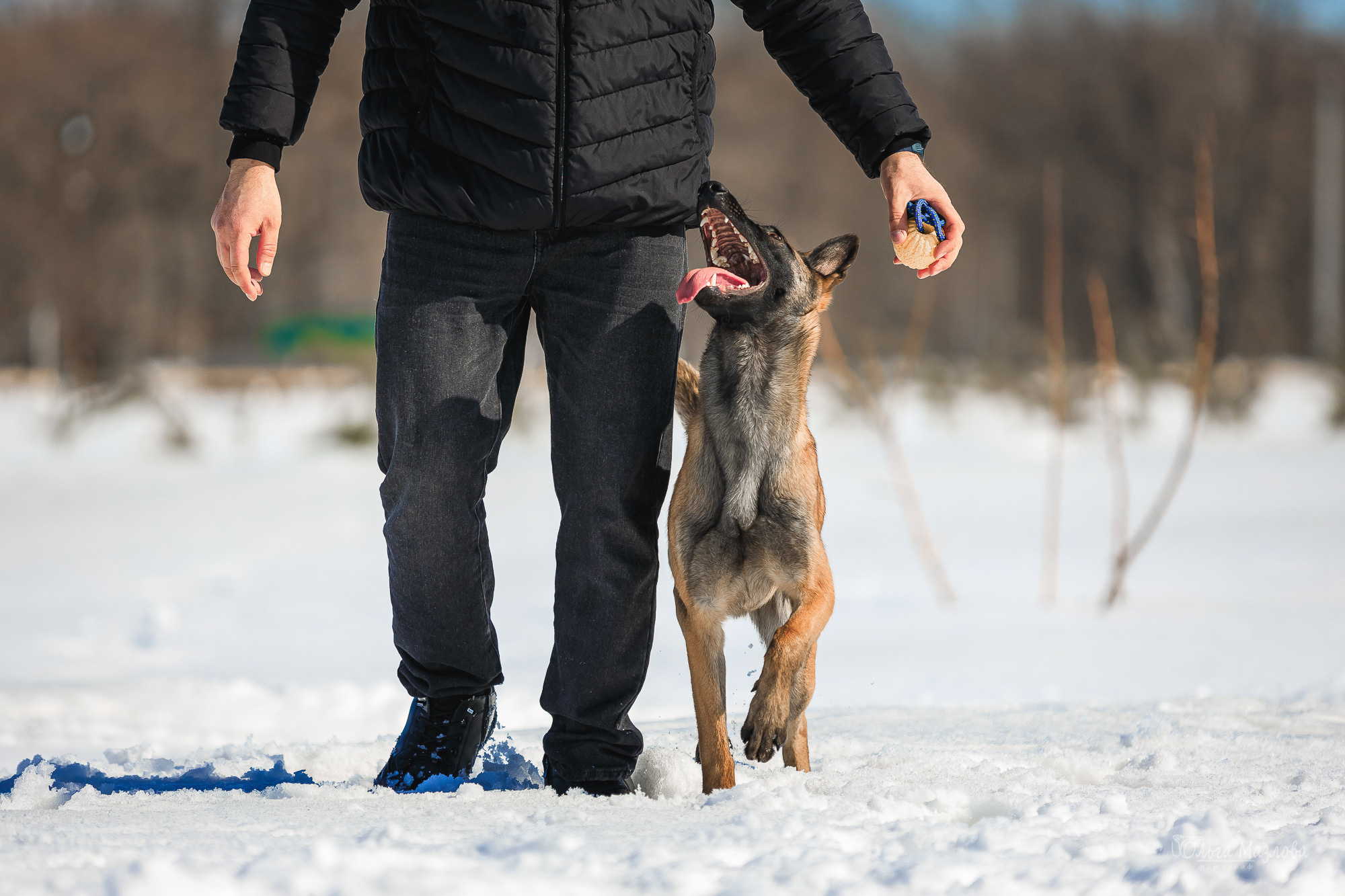 фотограф-анималист в Саратове