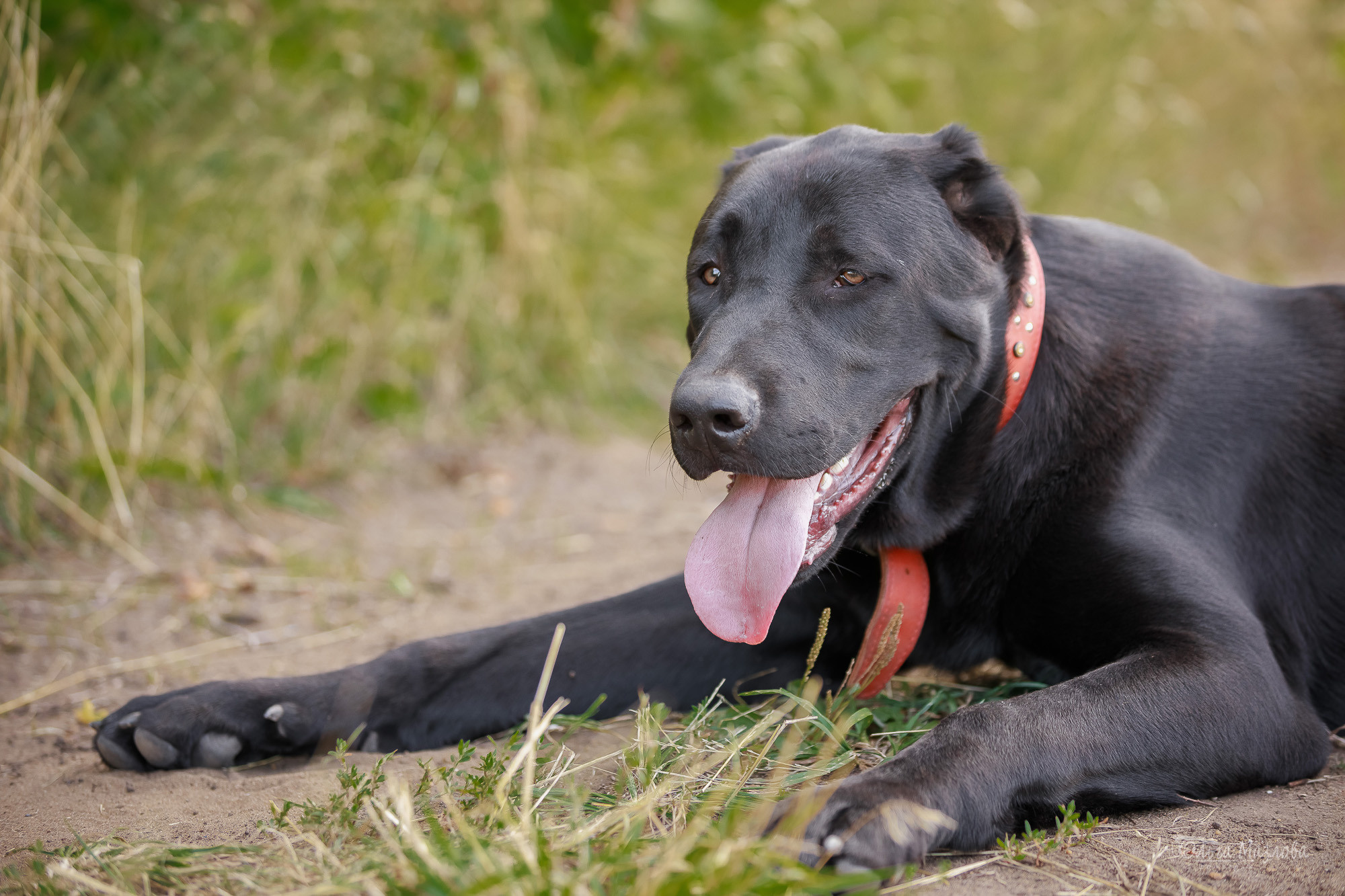 Фотосессия Азима и Евы. Фотограф в Саратове Ольга Мазлова
