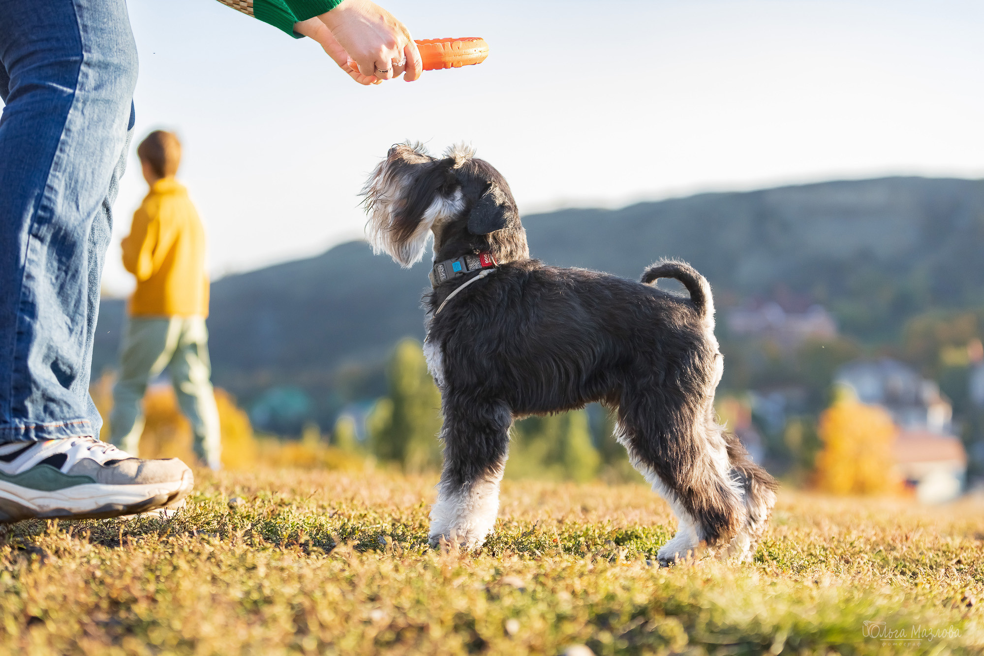 Осенняя фотосессия для Санты. Фотограф в Саратове Ольга Мазлова