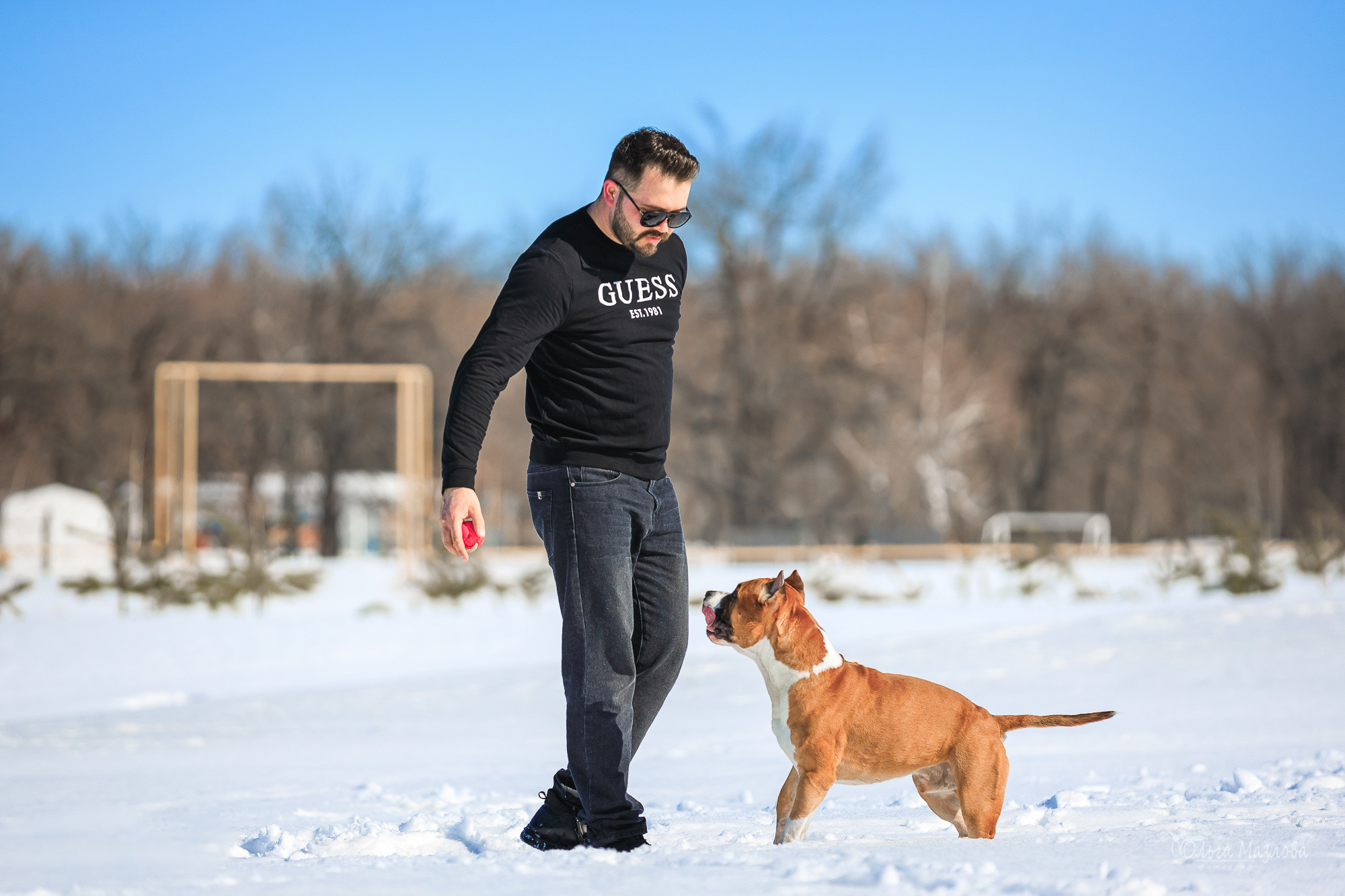 фотограф-анималист в Саратове