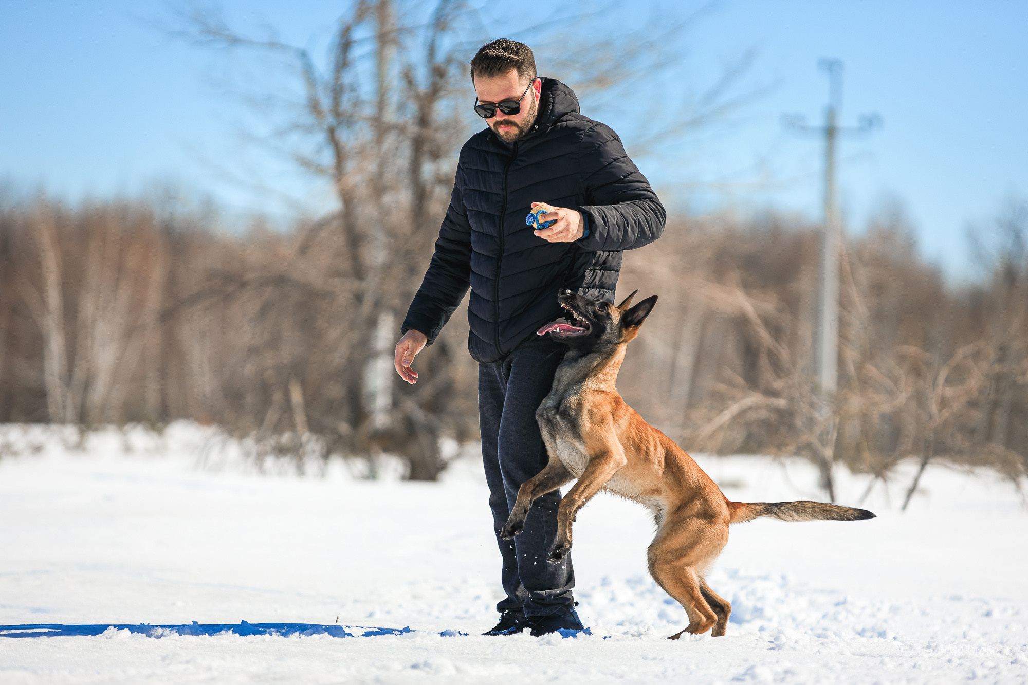 анималист саратов