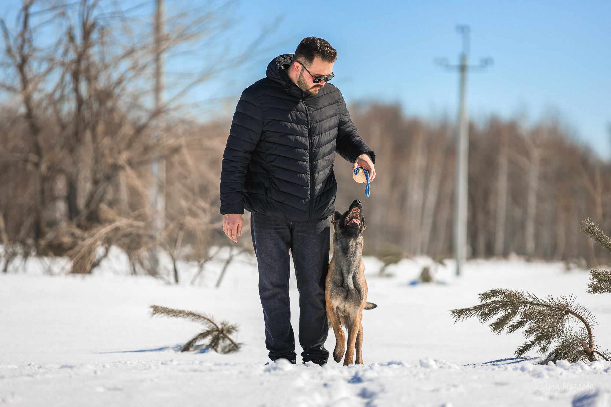 фотограф-анималист Саратов