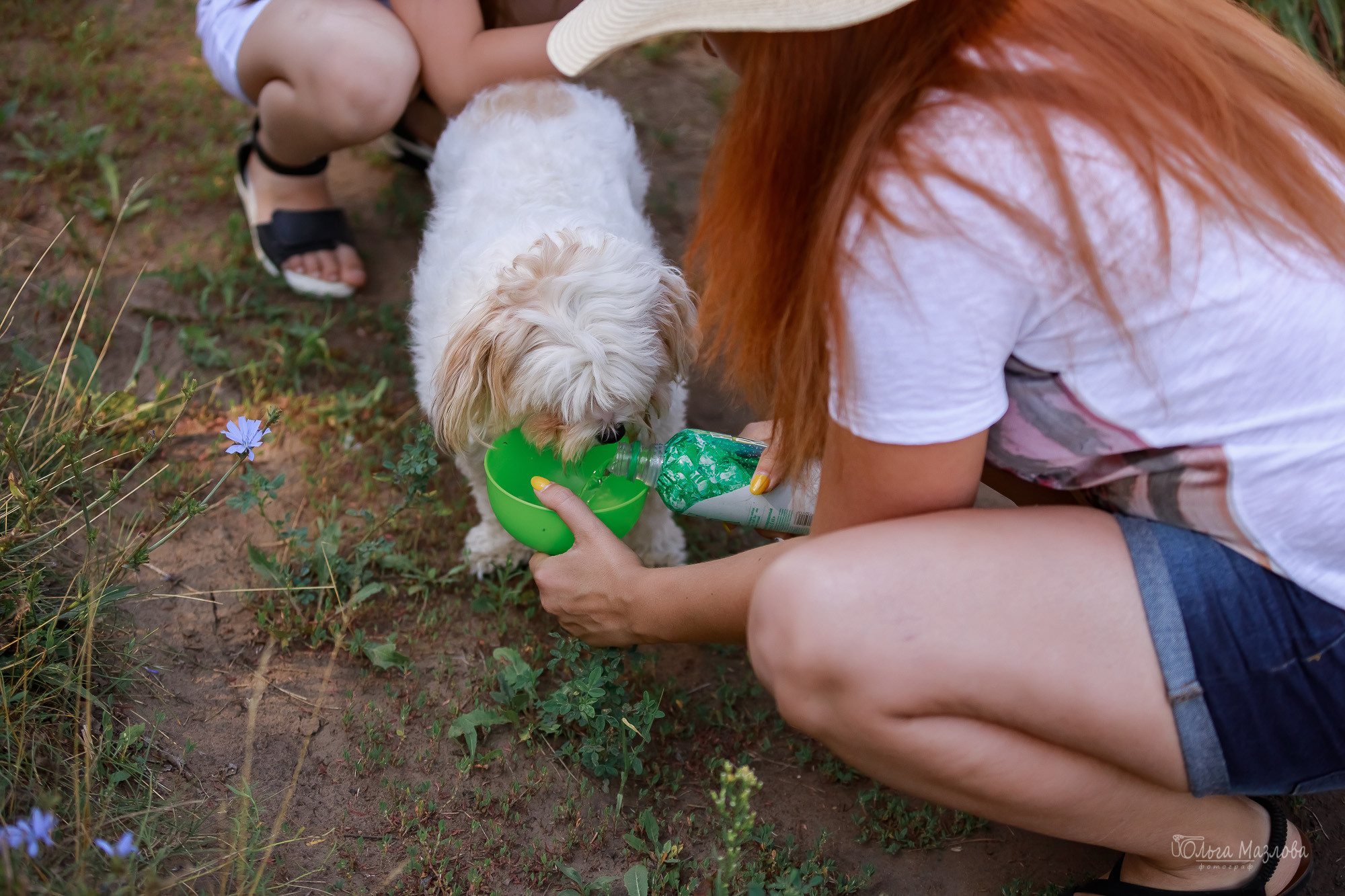 Семейная фотосессия в Саратове. Фотограф в Саратове Ольга Мазлова