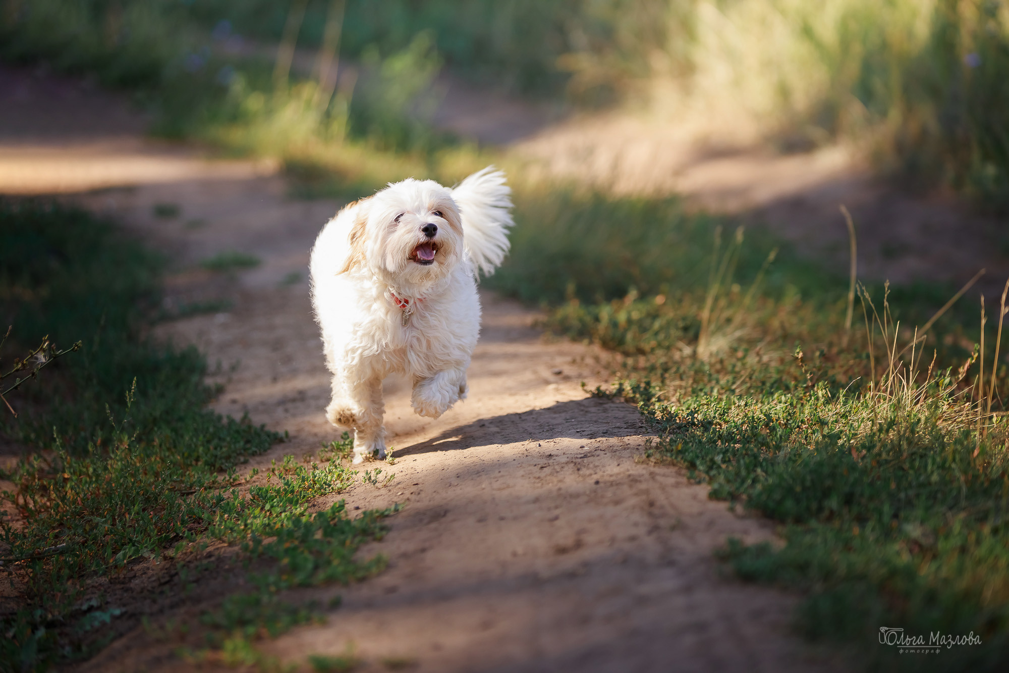 Семейная фотосессия в Саратове. Фотограф в Саратове Ольга Мазлова