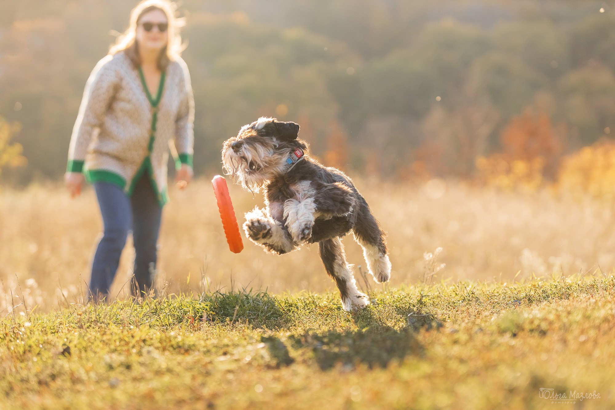 Осенняя фотосессия для Санты. Фотограф в Саратове Ольга Мазлова
