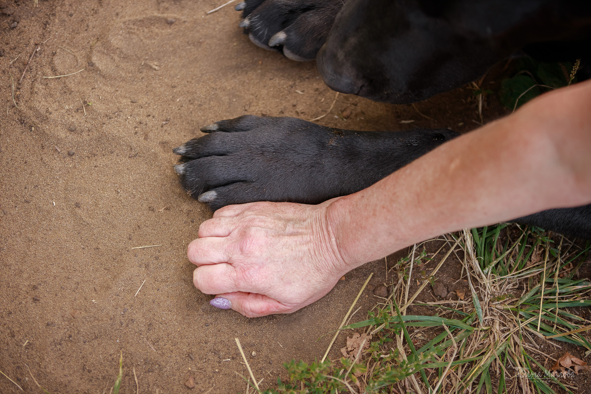 Фотосессия Азима и Евы. Фотограф в Саратове Ольга Мазлова