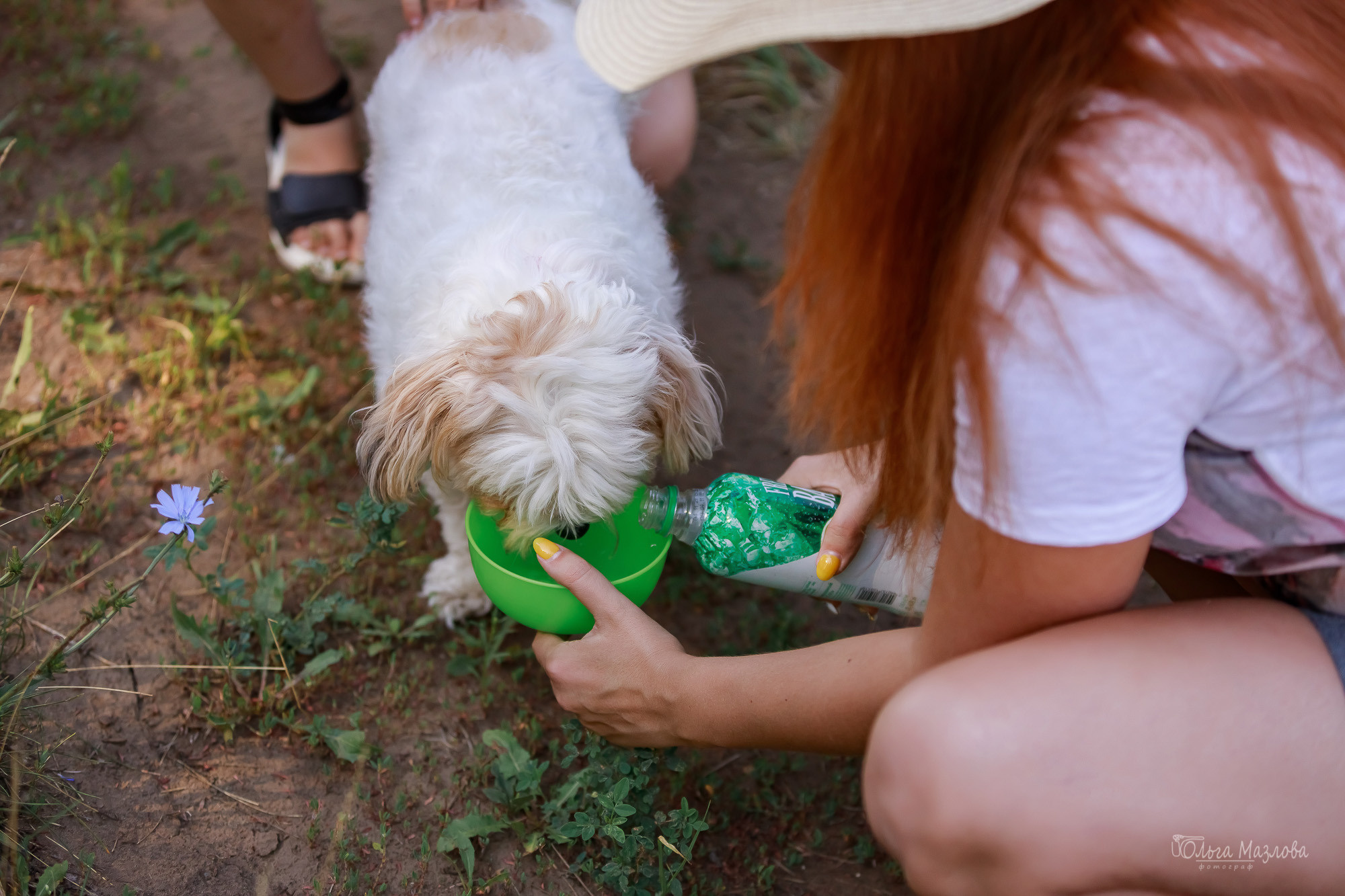 Семейная фотосессия в Саратове. Фотограф в Саратове Ольга Мазлова