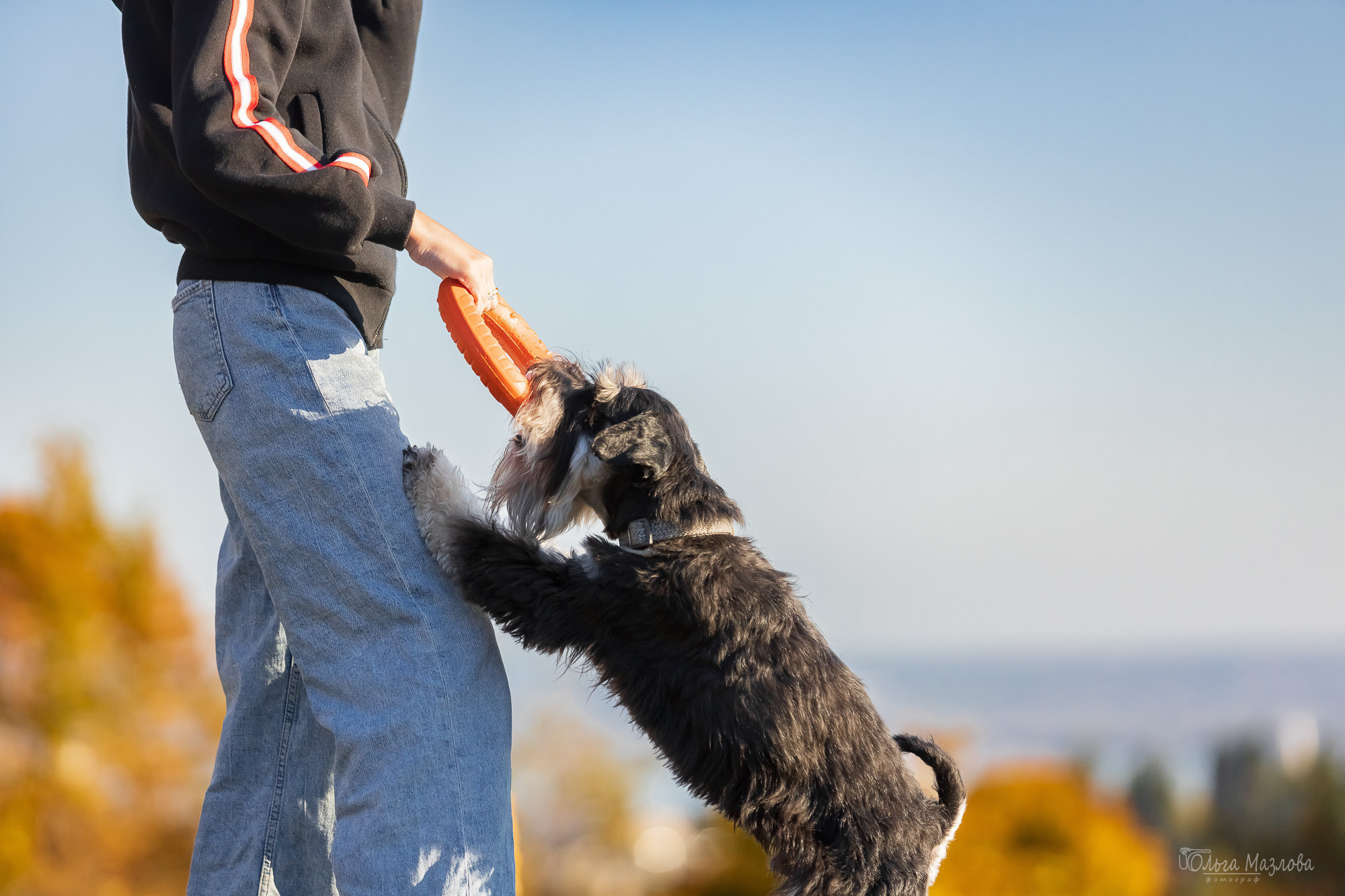 Осенняя фотосессия для Санты. Фотограф в Саратове Ольга Мазлова
