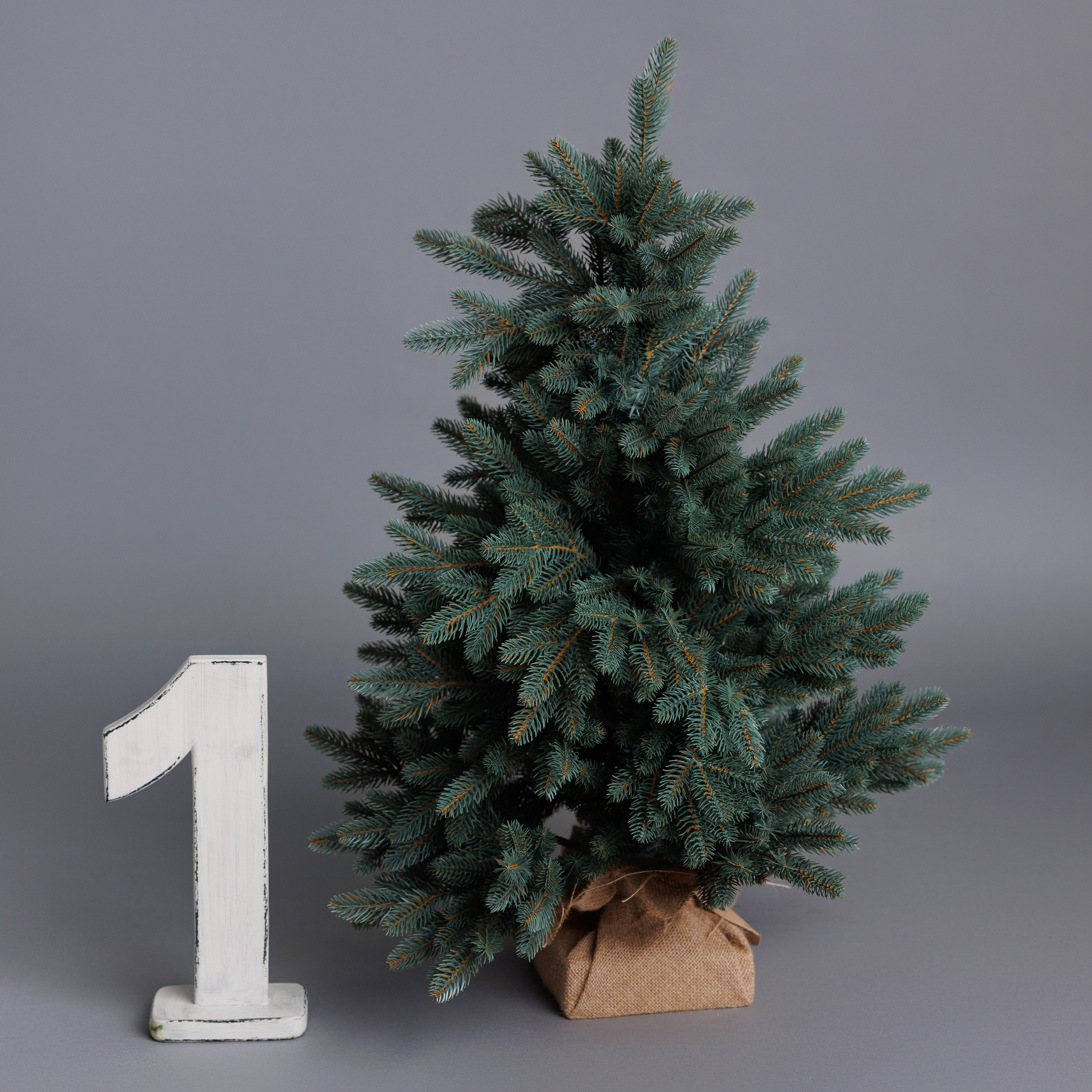 Реквизит студии