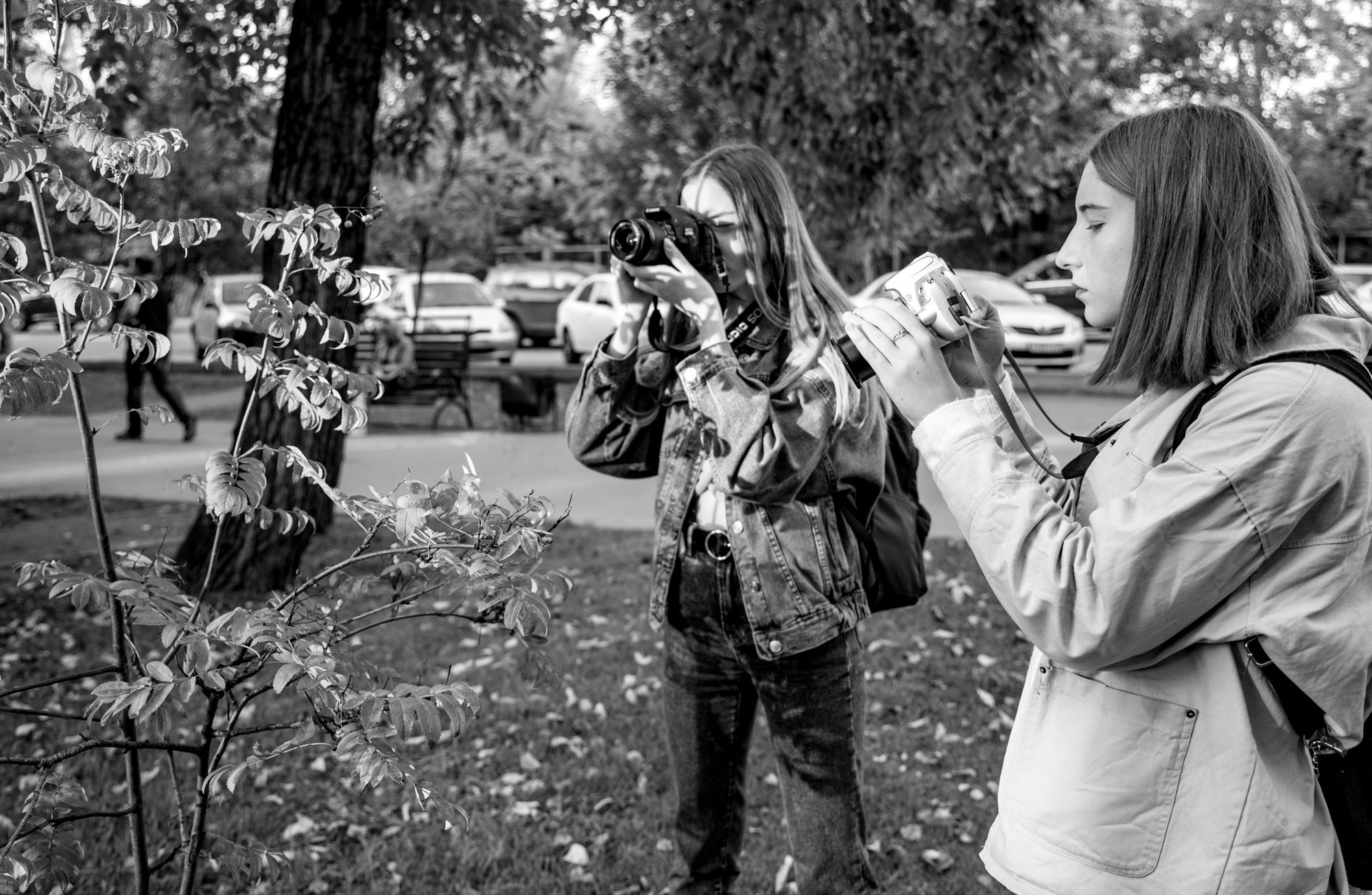 Осенняя пора благоволит снимать и восхищаться. Девушки, ученицы фотокурсов Артёма Андронова в поисках нужного ракурса.