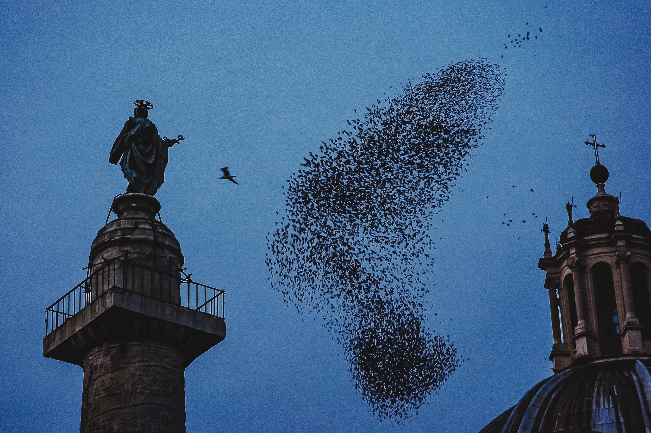 Portfolio. The Andris