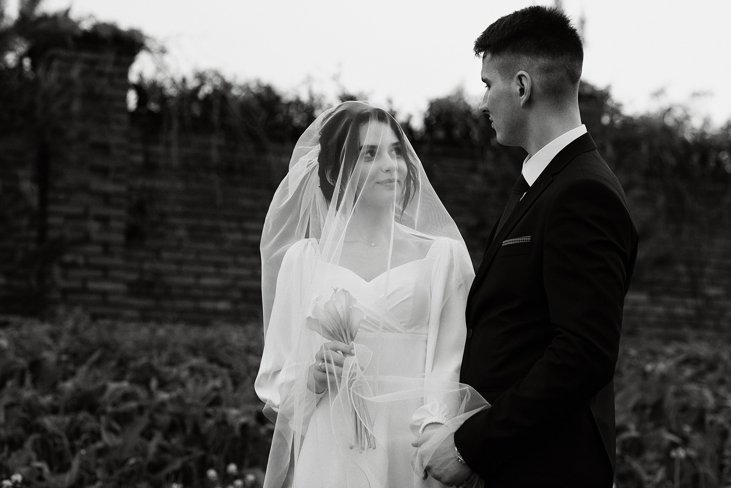 Алина и Сергей свадьба