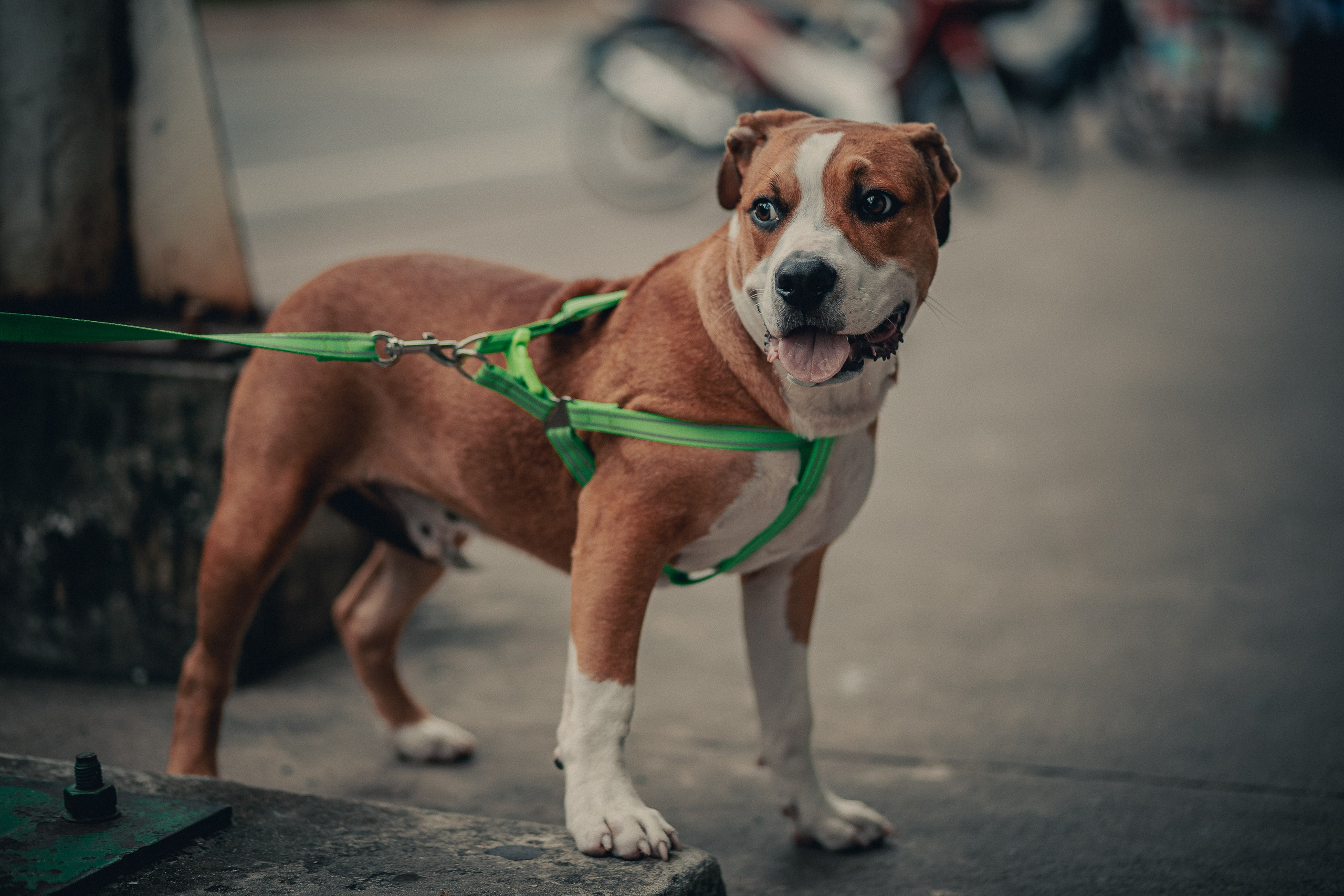 Таиланд. Фотошкола ArtFotoLife для начинающих и продвинутых фотографов