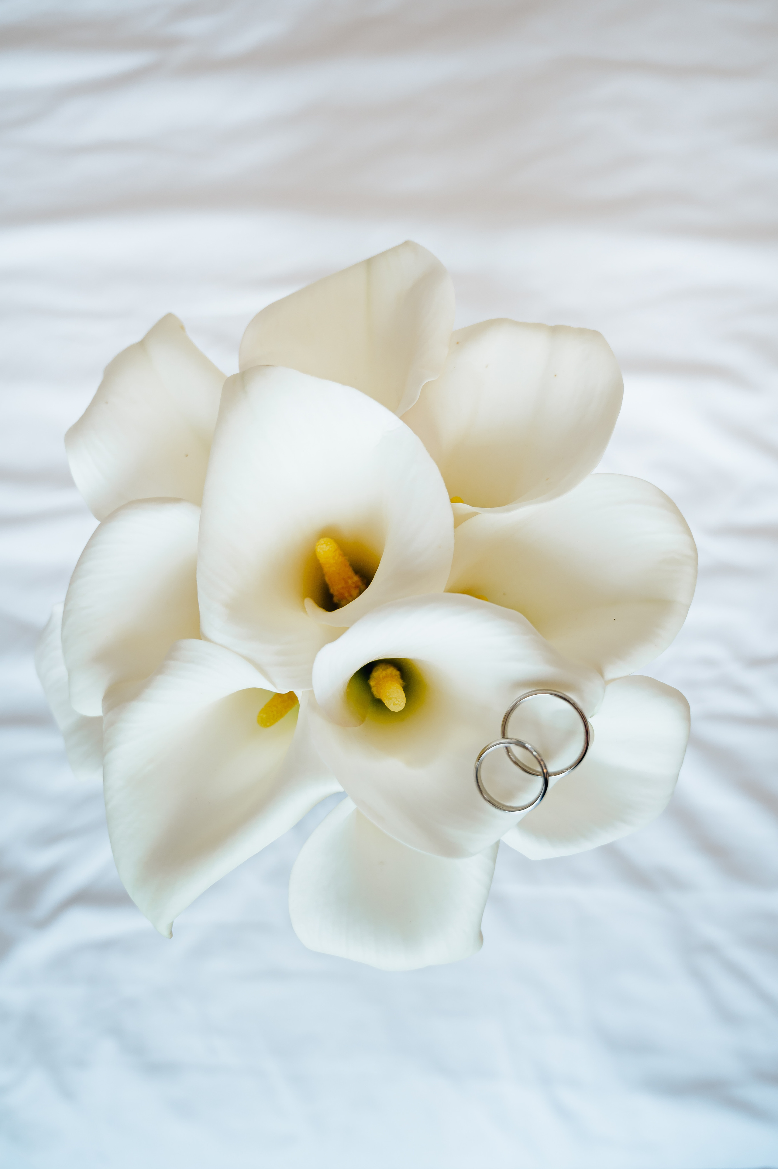 Игнат & Александра. Портретный и свадебный фотограф в Москве Анастасия Терентьева