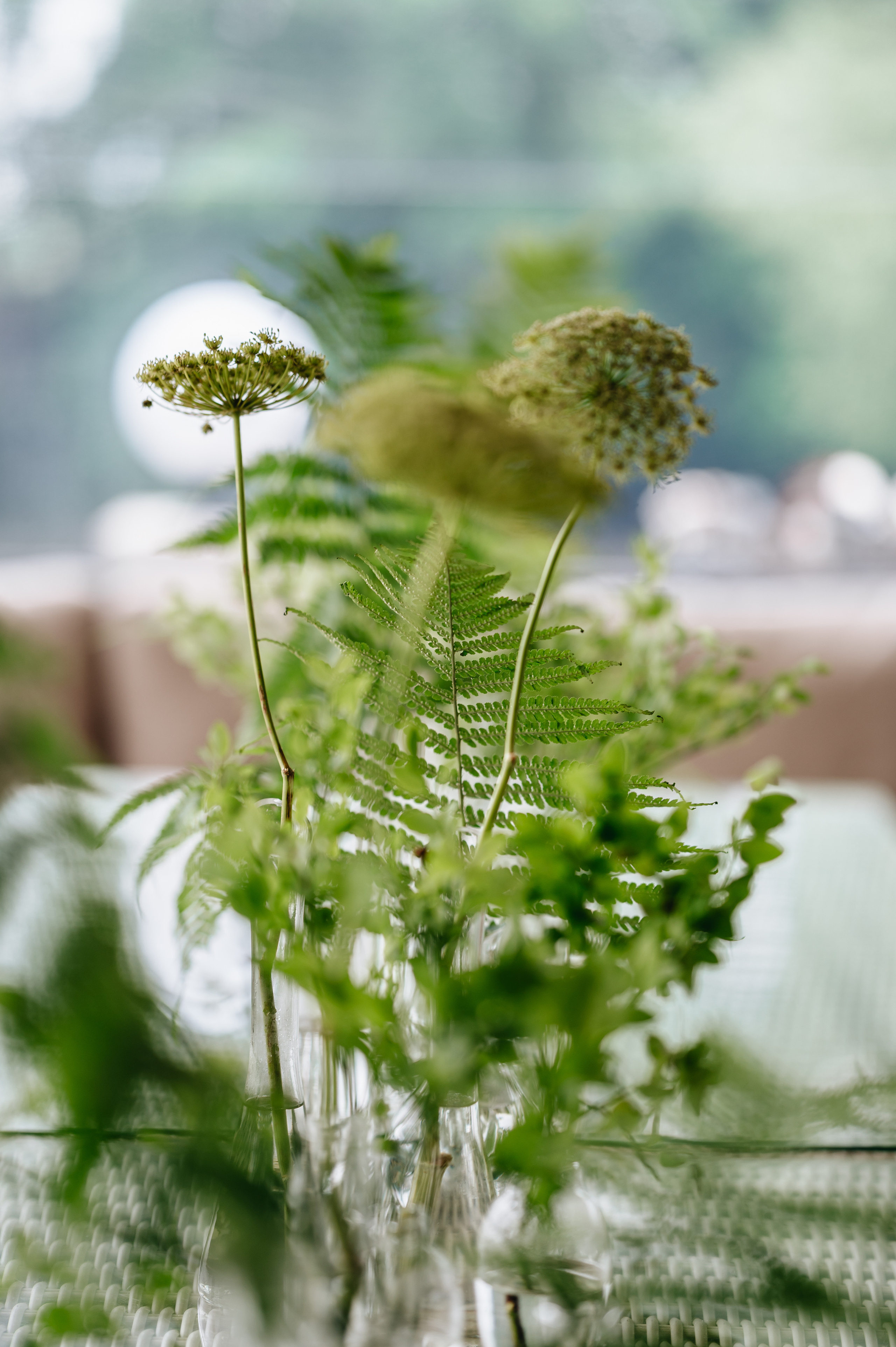 Дмитрий & Елена. Портретный и свадебный фотограф в Москве Анастасия Терентьева