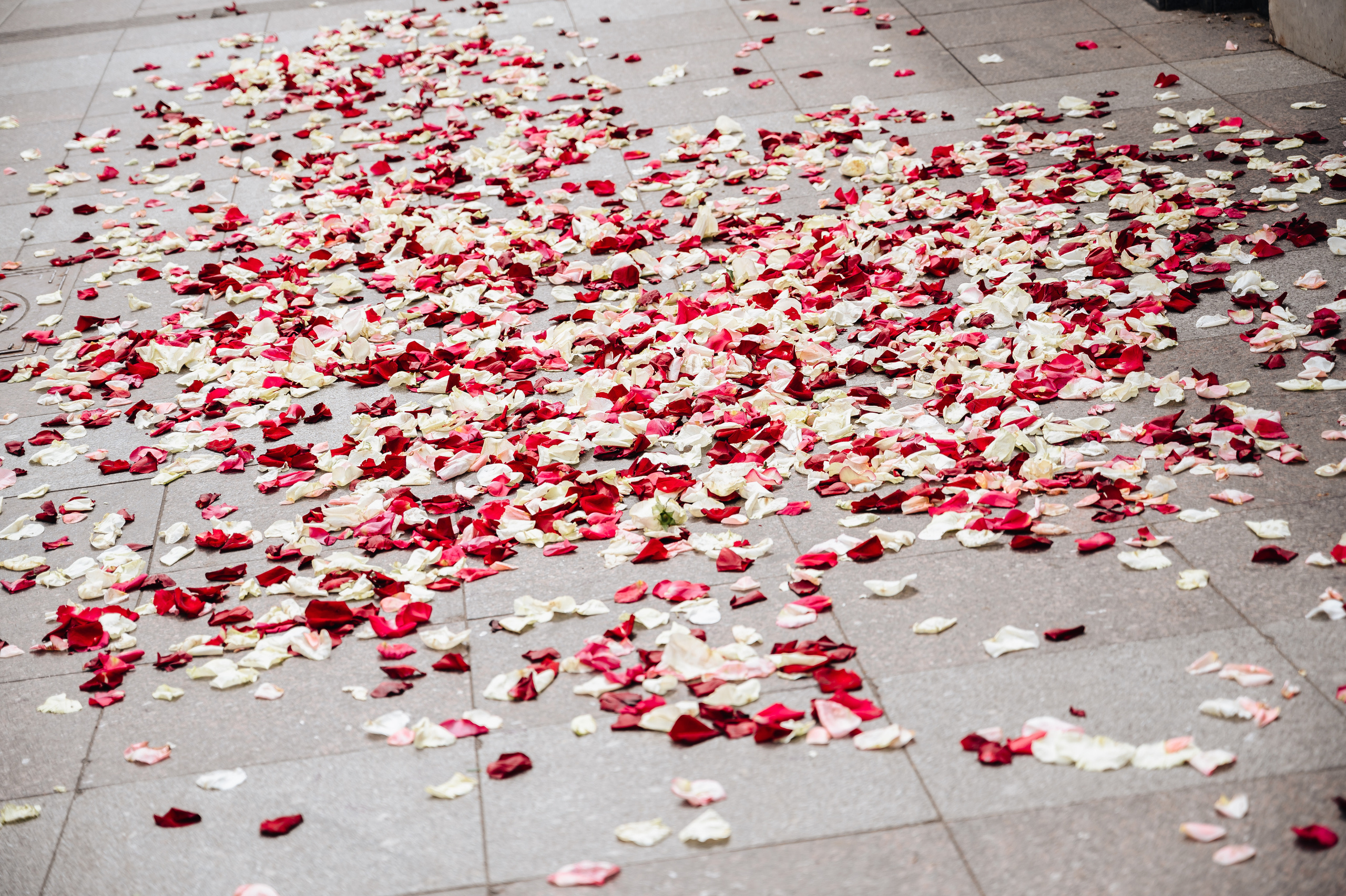 Дмитрий & Елена. Портретный и свадебный фотограф в Москве Анастасия Терентьева