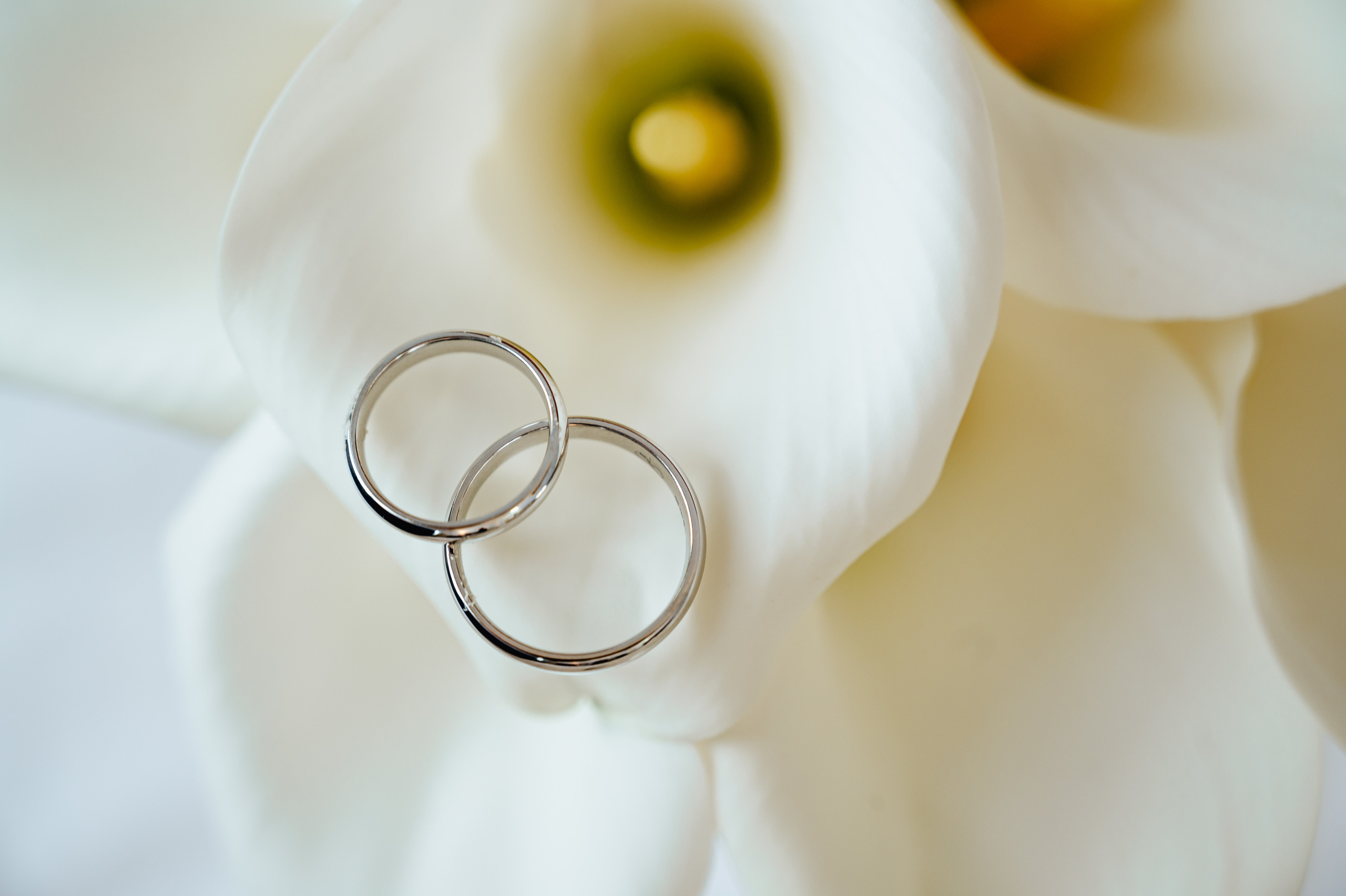 Игнат & Александра. Портретный и свадебный фотограф в Москве Анастасия Терентьева