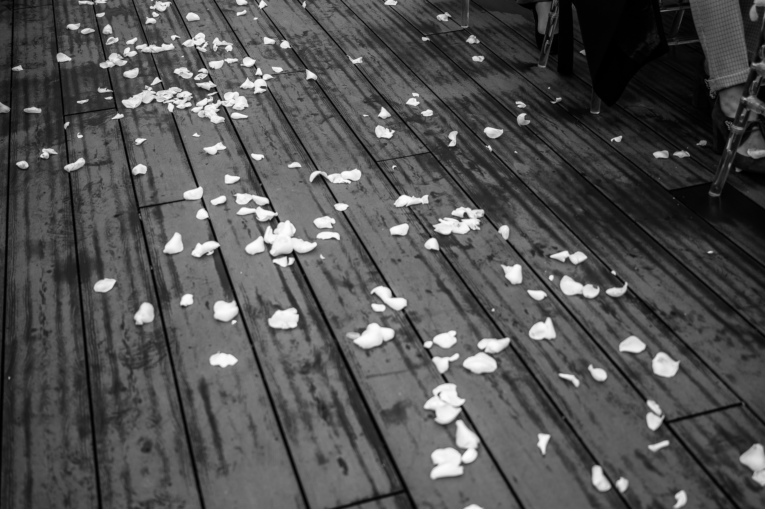 Дмитрий & Елена. Портретный и свадебный фотограф в Москве Анастасия Терентьева