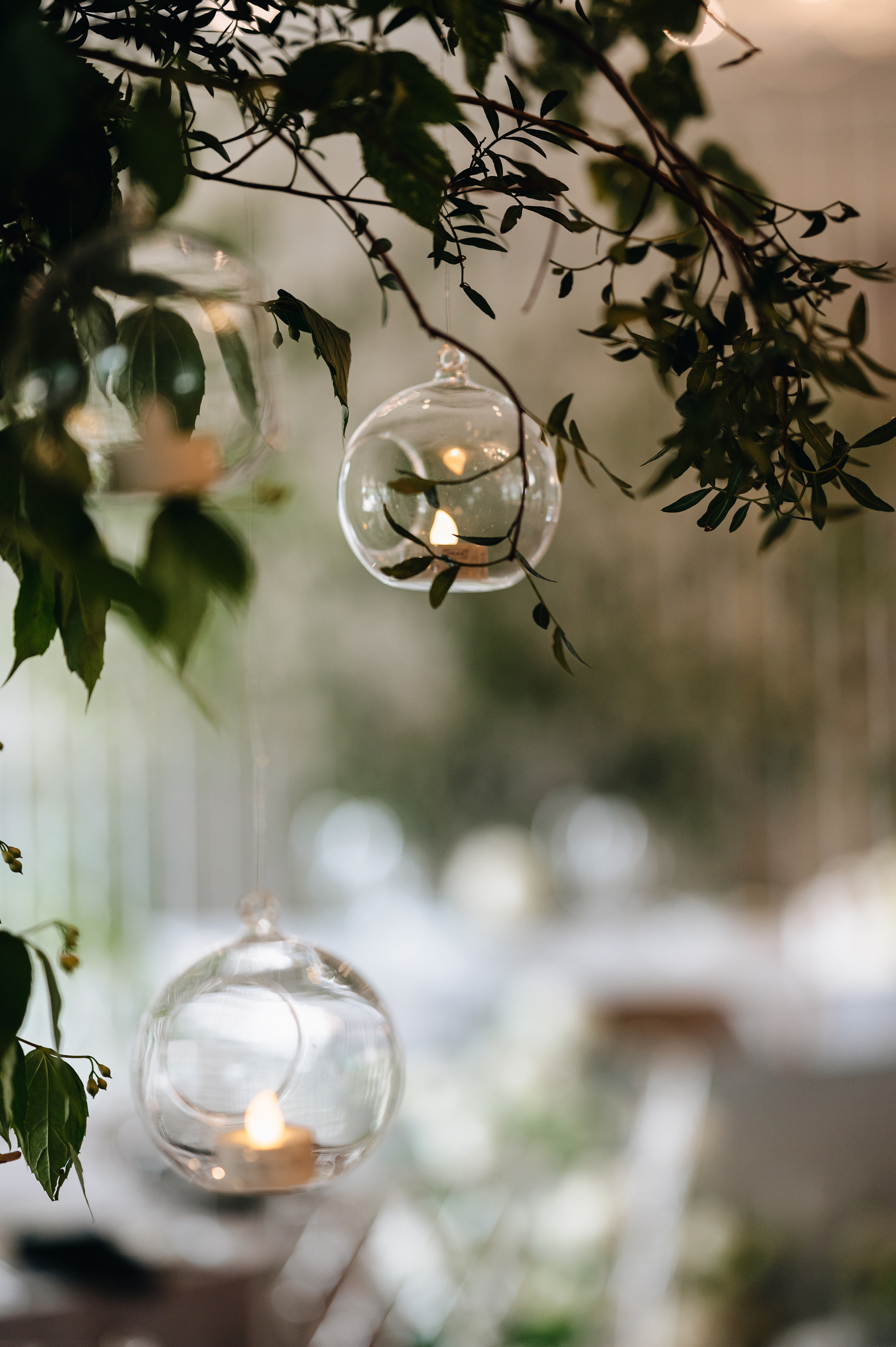 Дмитрий & Елена. Портретный и свадебный фотограф в Москве Анастасия Терентьева