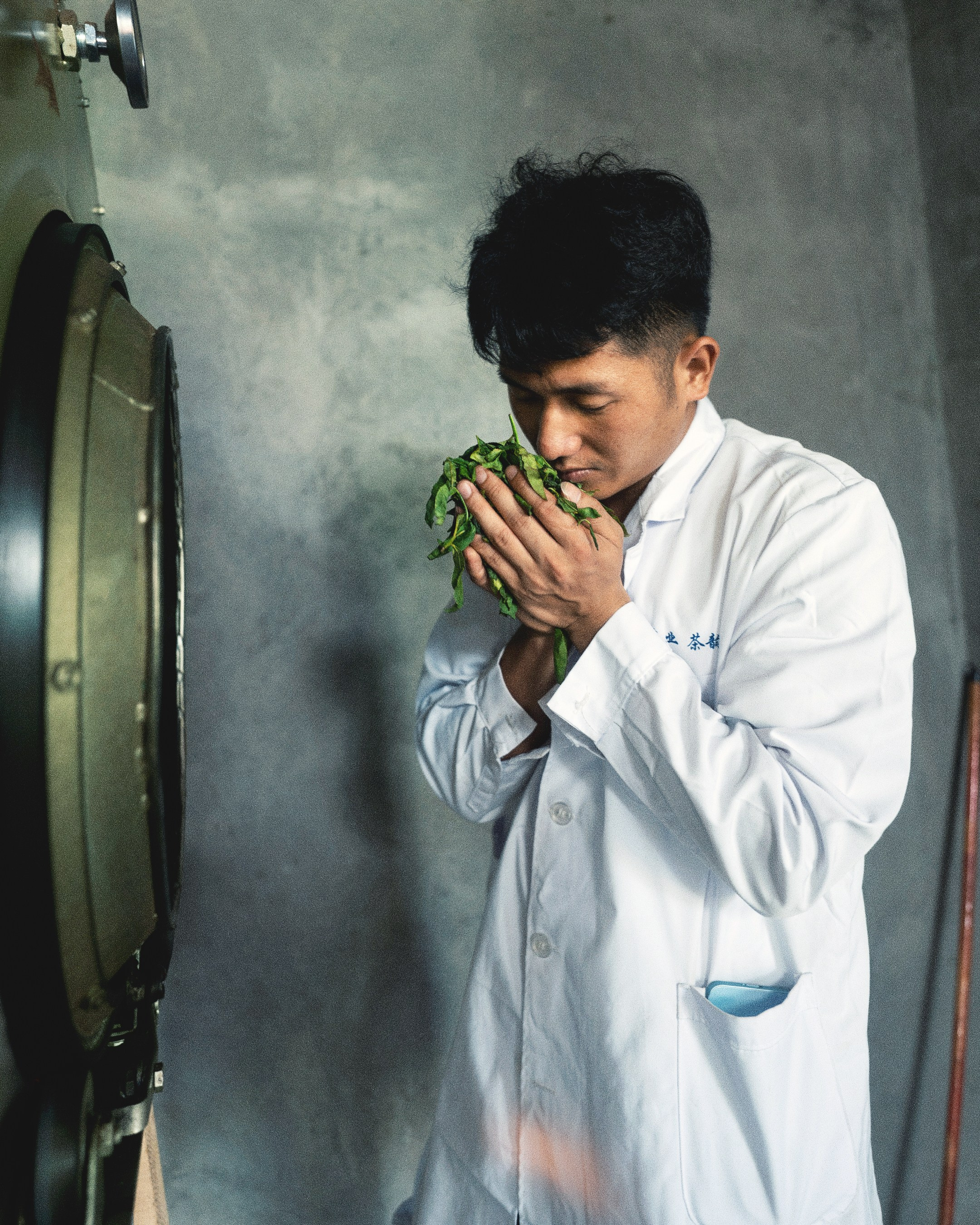 Tea production Moychay, Guria. Андрей Фадеев фото видео Тбилиси