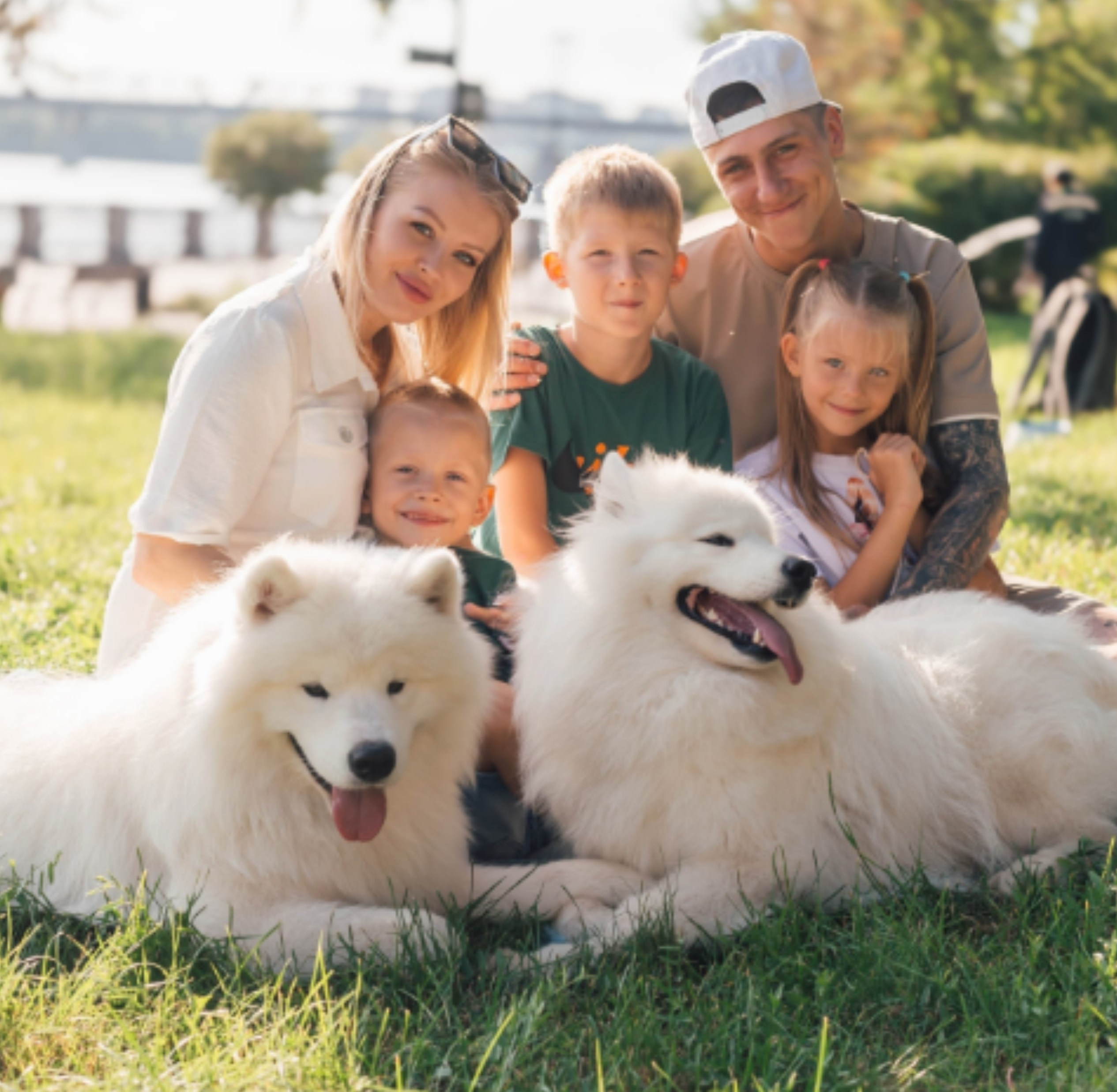 Отзывы. Самоед Новосибирск