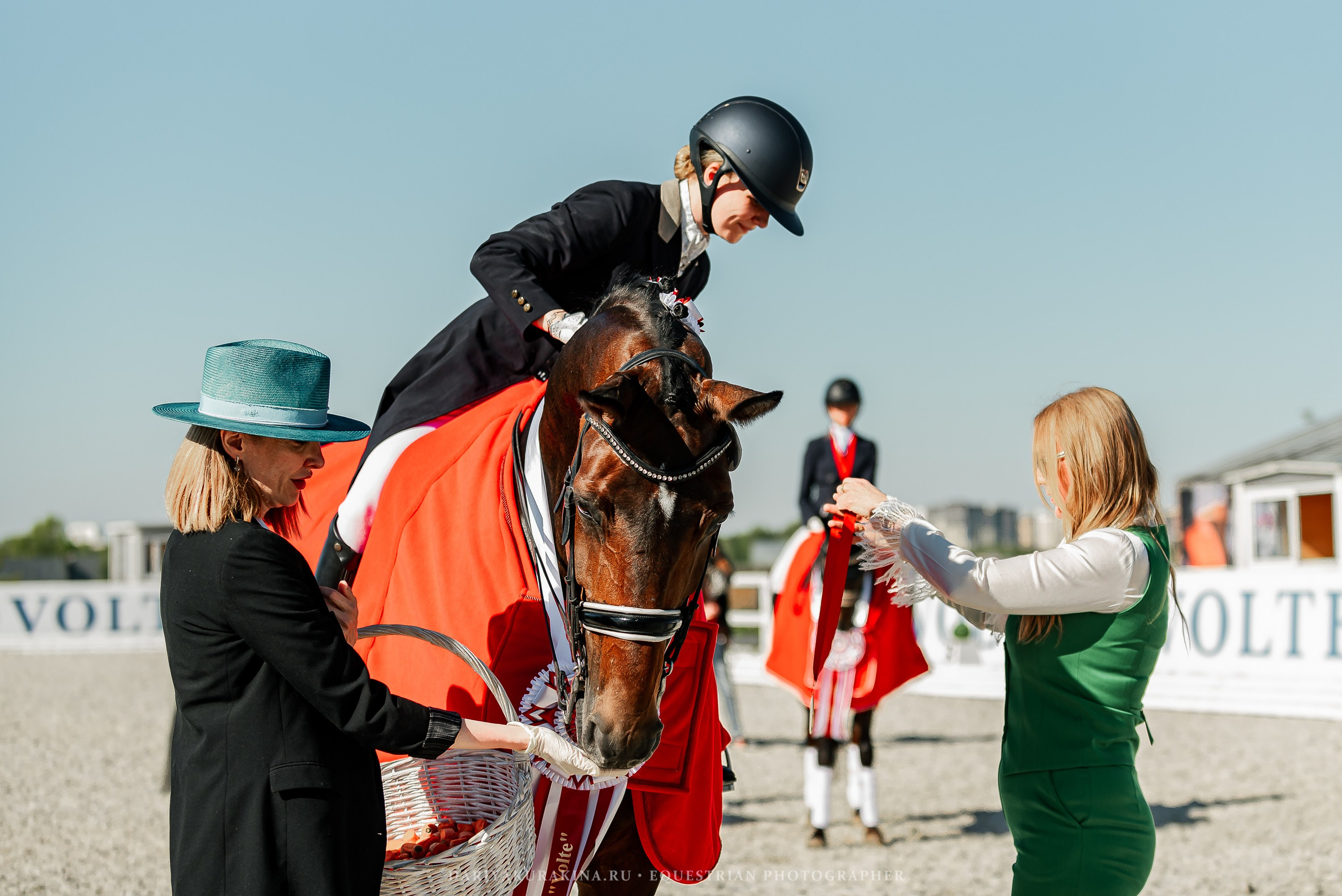РЕПОРТАЖ МКК ВОЛЬТ «LA TULIPS». Конный фотограф Куракина Дарья • Фотосессии с лошадьми