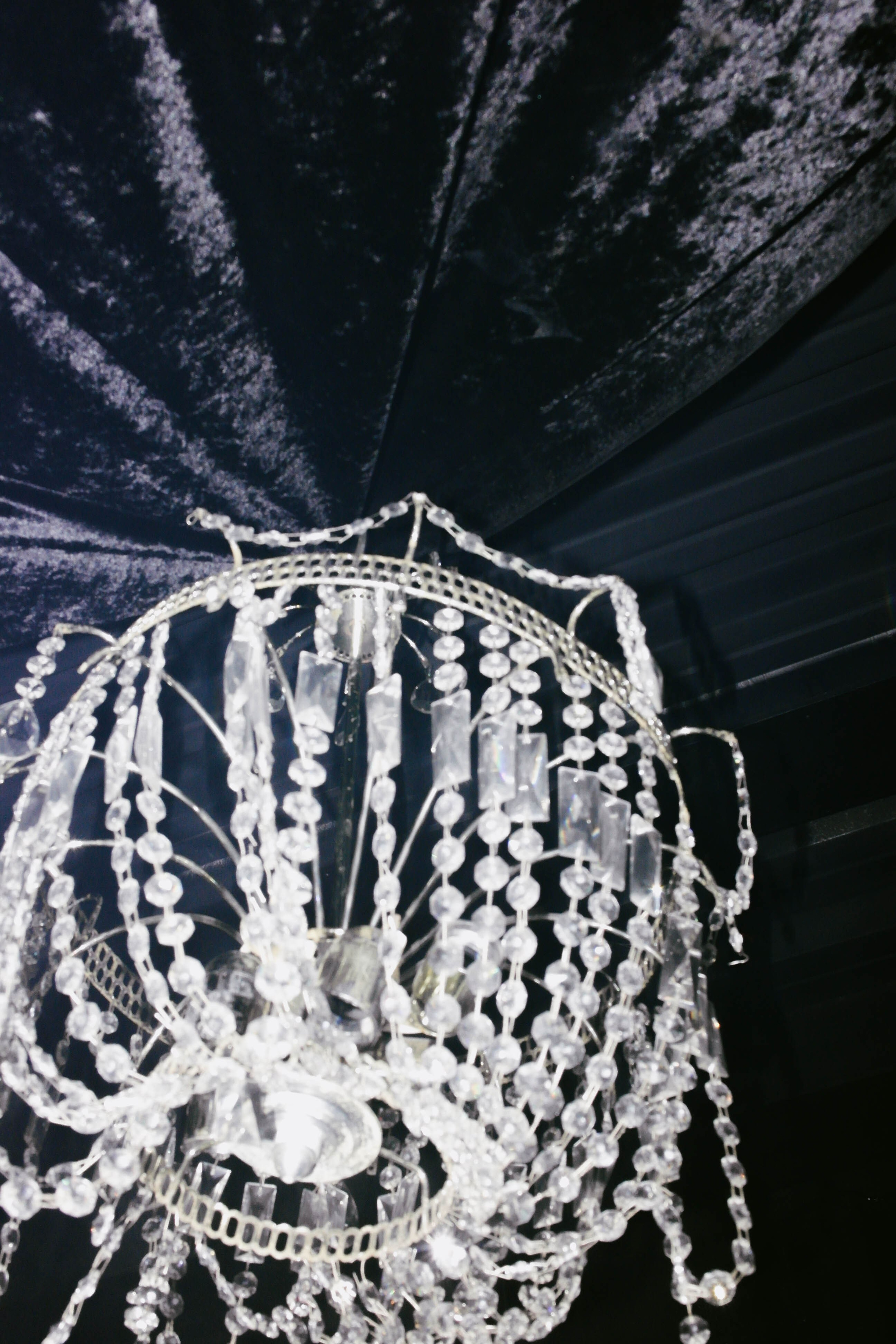 Kontrkult x kiki. Shyjungle's Portfolio