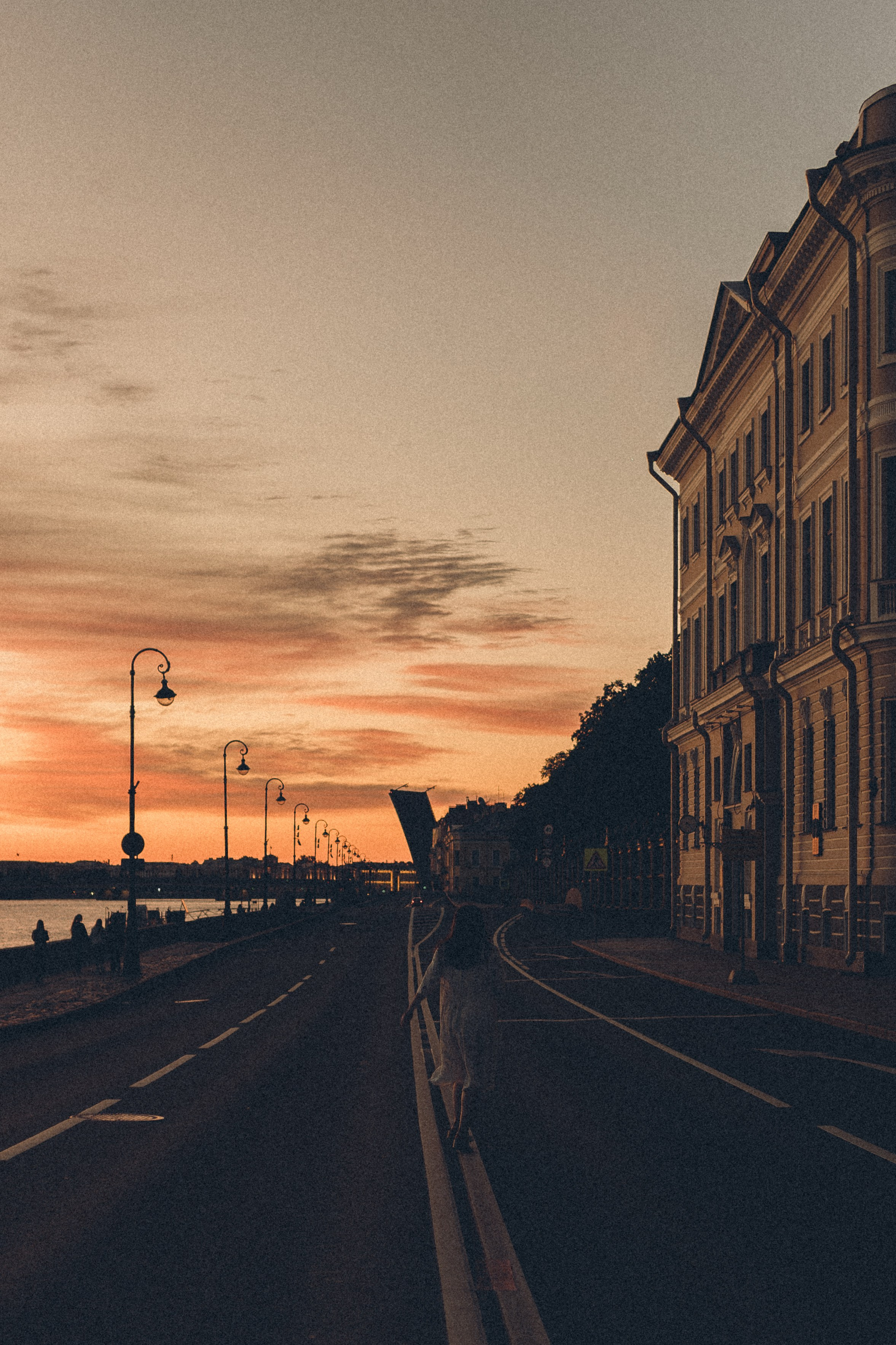 РАССВЕТ С РАЗВОДНЫМИ МОСТАМИ. Профессиональный фотограф, Санкт-Петербург — Виктория Богомолова