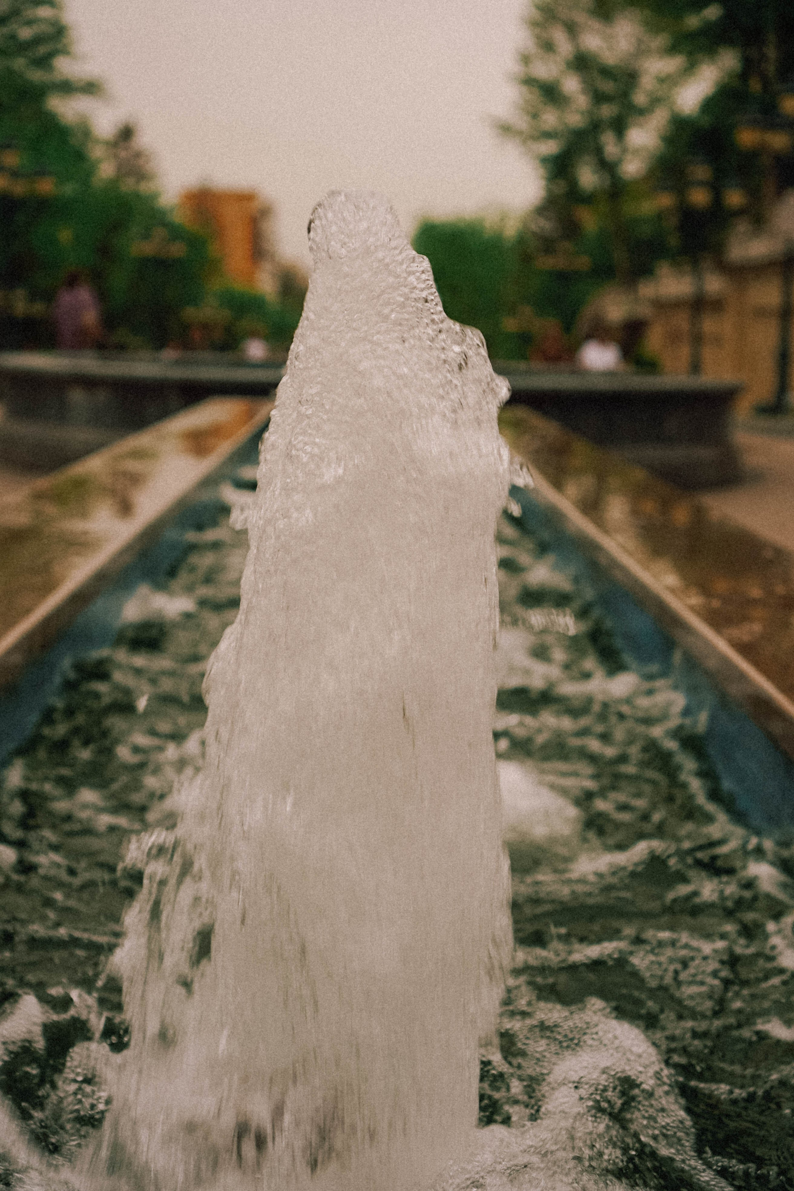 КИСЛОВОДСК. Профессиональный фотограф, Санкт-Петербург — Виктория Богомолова