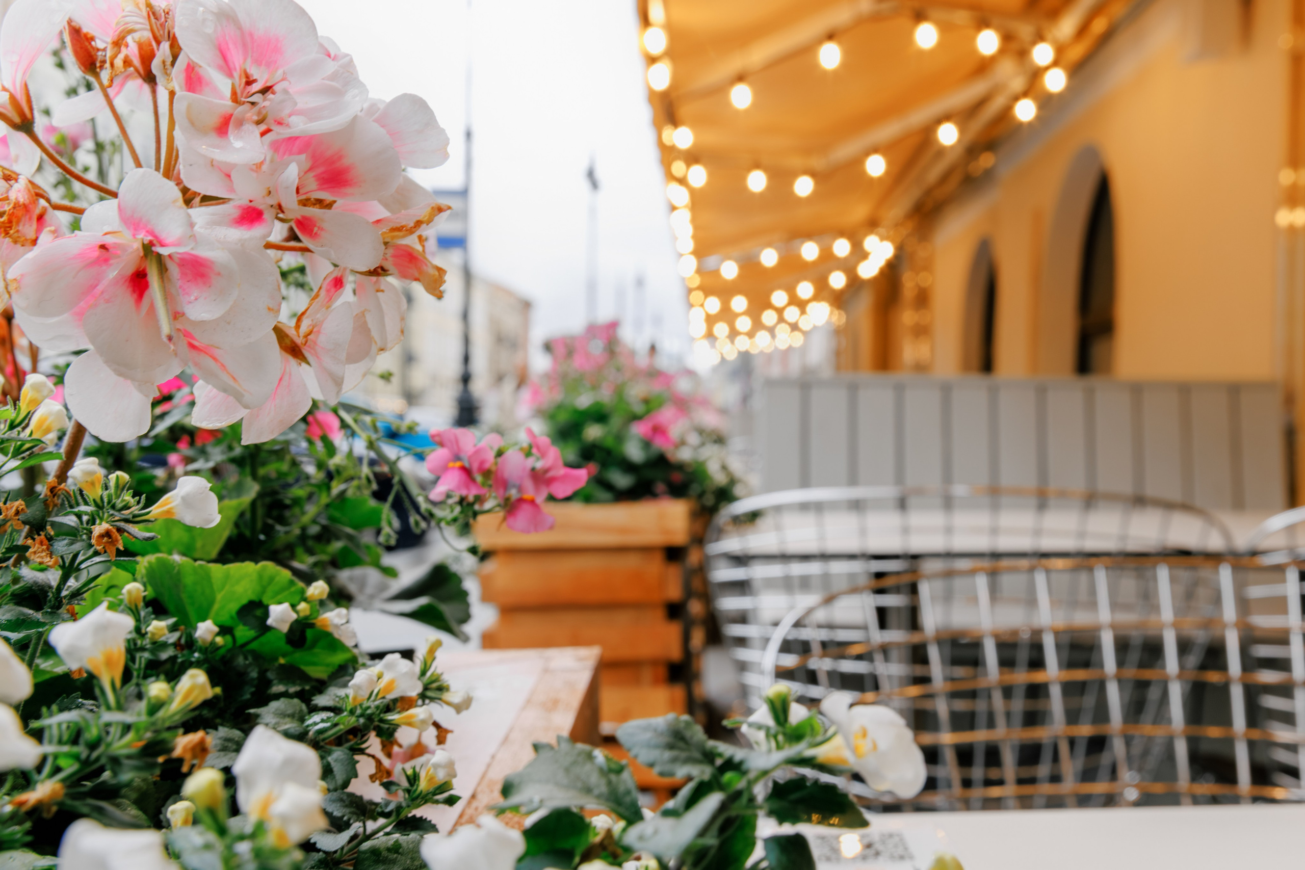Энтузиасты. Репортажный фотограф в Санкт-Петербурге Жолудев Владислав