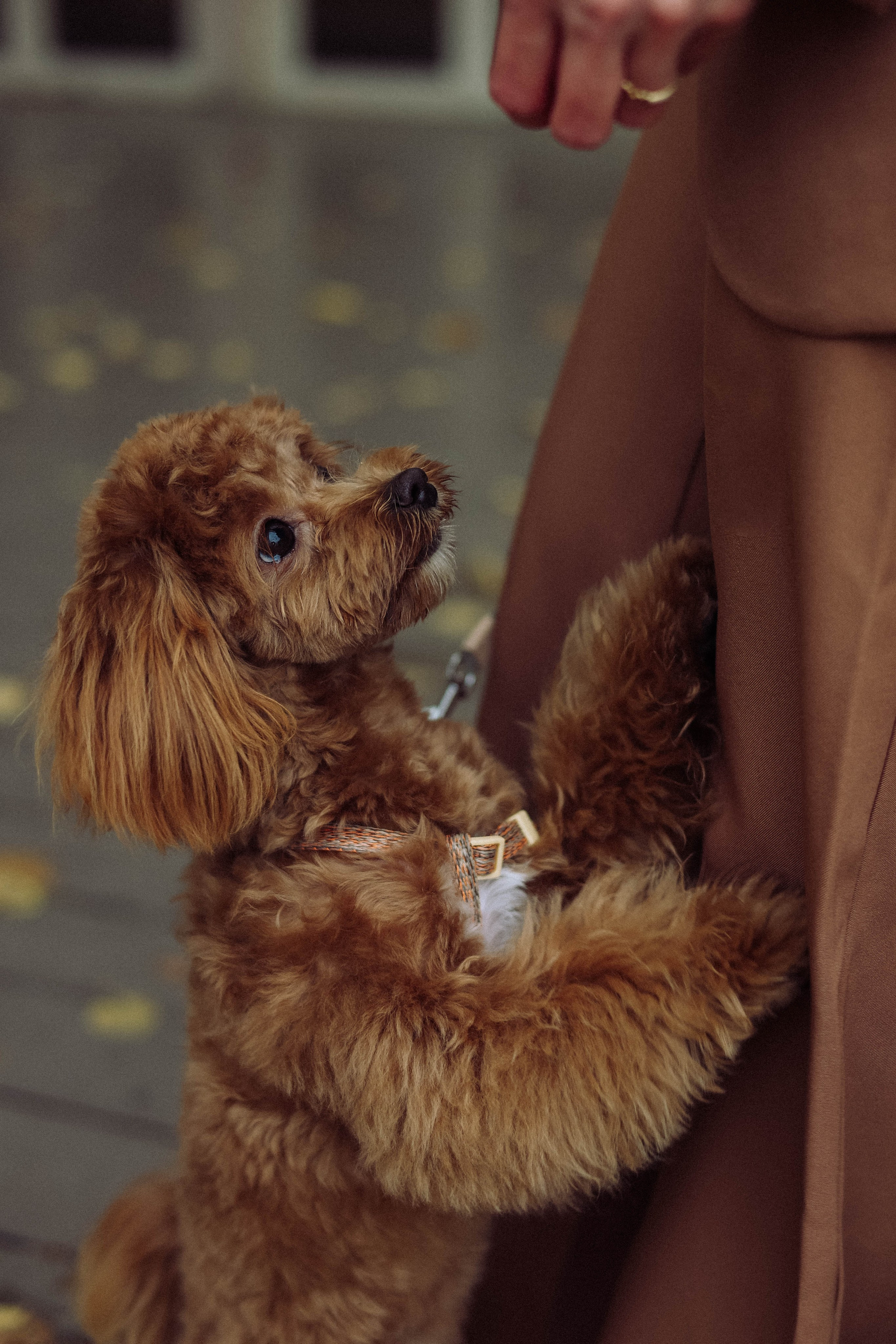 Кира. Фотограф в Москве Анастасия Калинина