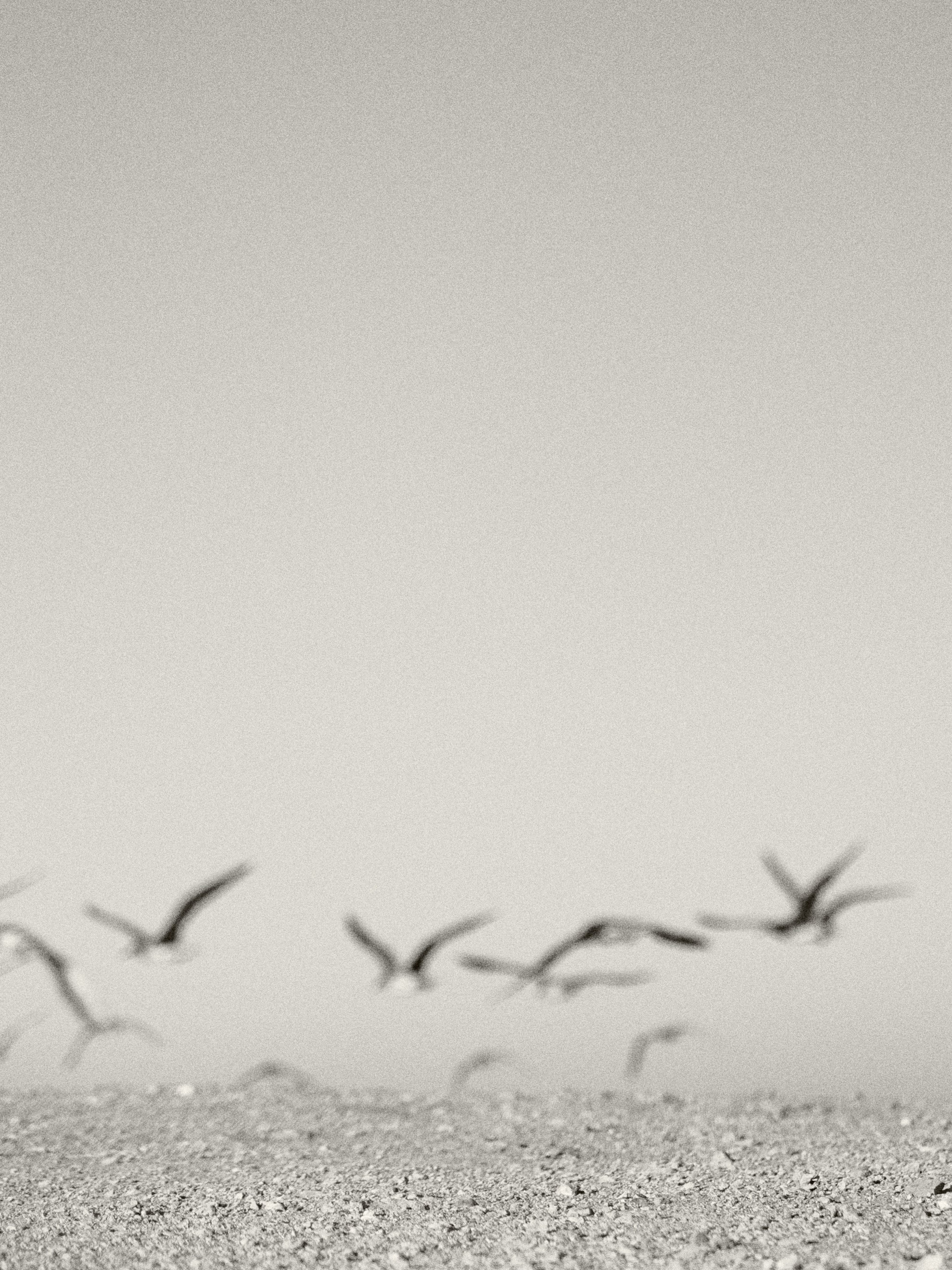 B&W. Jorgis — фотограф в Хургаде / обучение фотографии