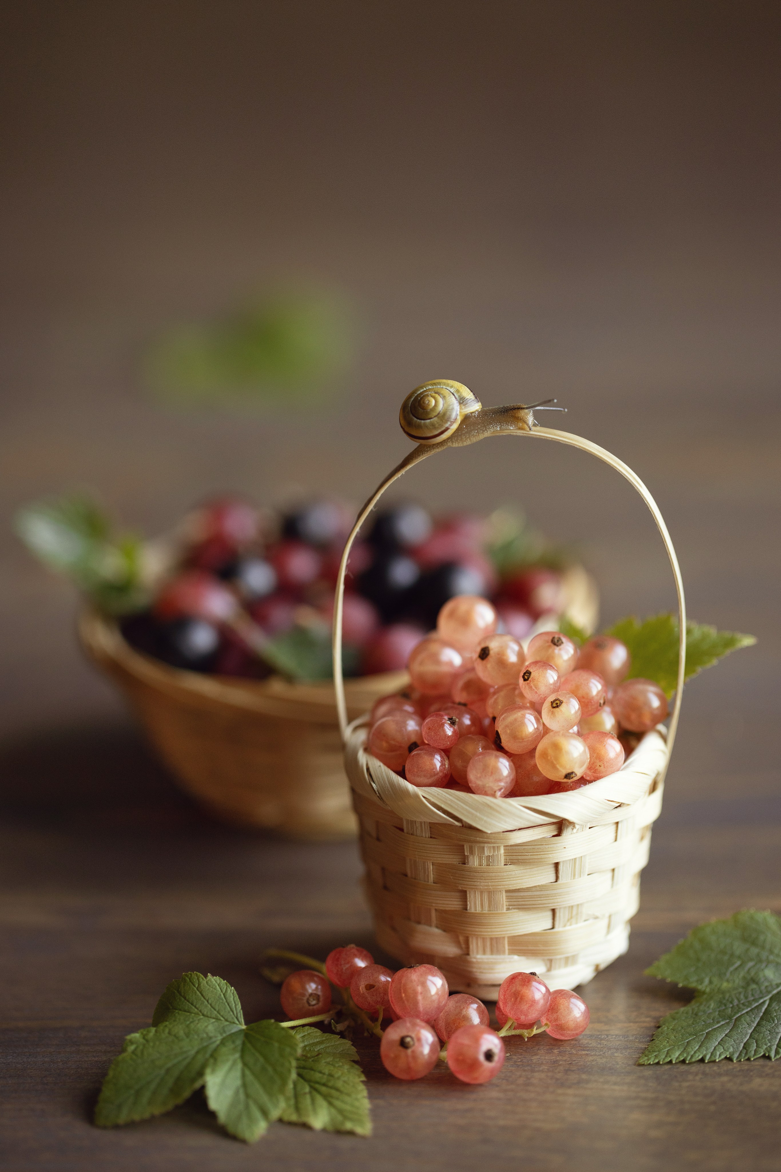 ПОРТФОЛИО. Детский и семейный фотограф в Калининграде Надежда Гриднева