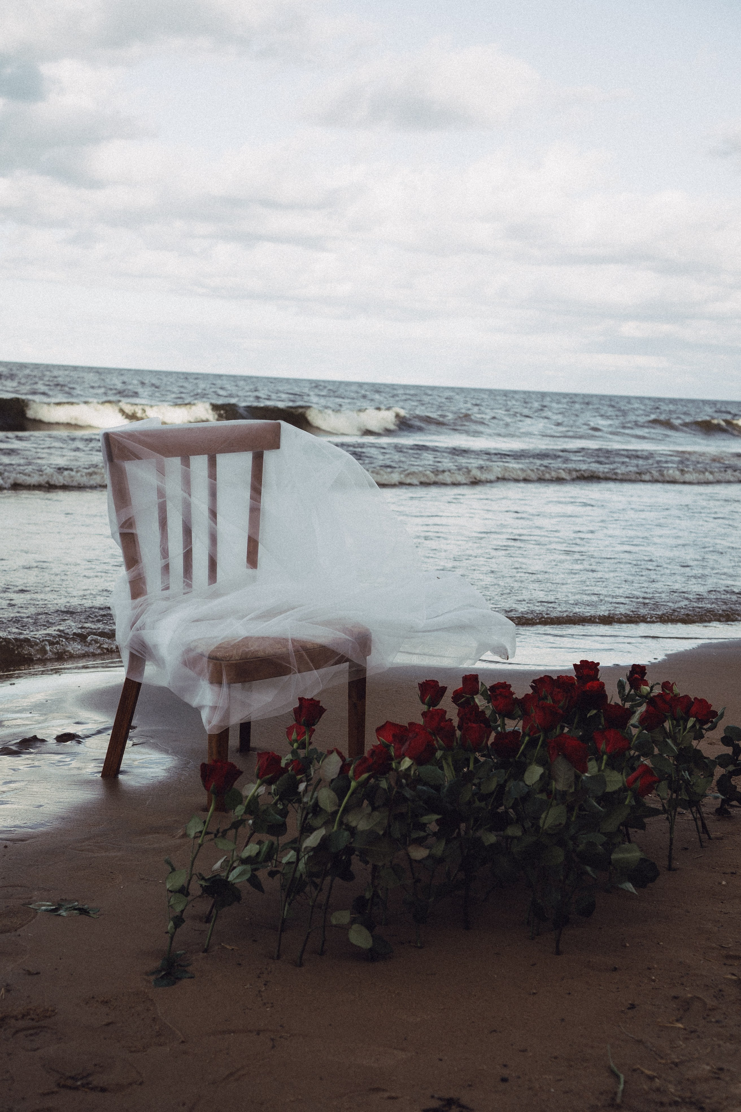 Розы. Профессиональный фотограф, Санкт-Петербург — Виктория Богомолова