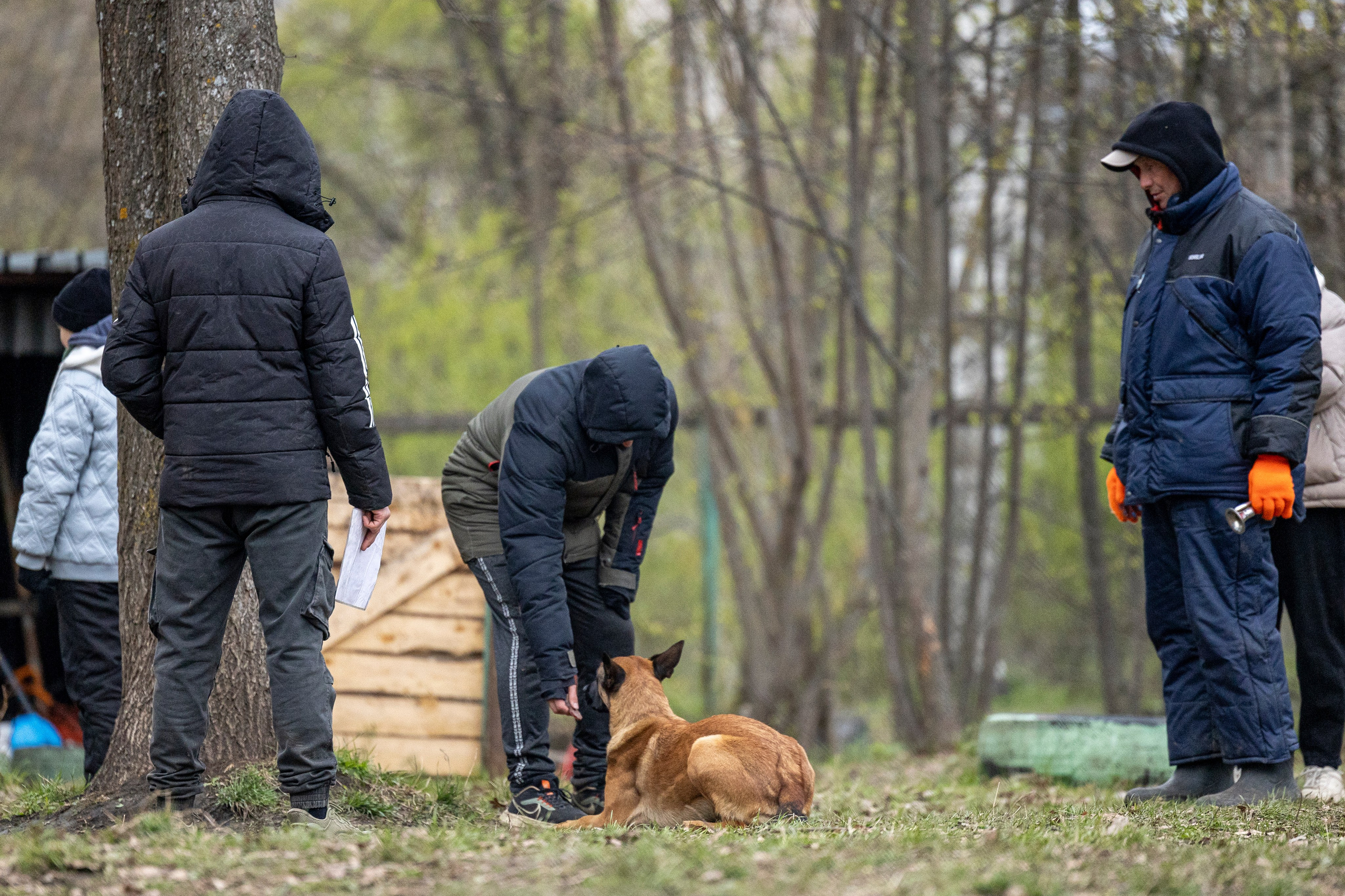 Квалификационные состязания по мондьорингу г. Вологда 11.05.24. Фотограф-анималист Анна Маринич