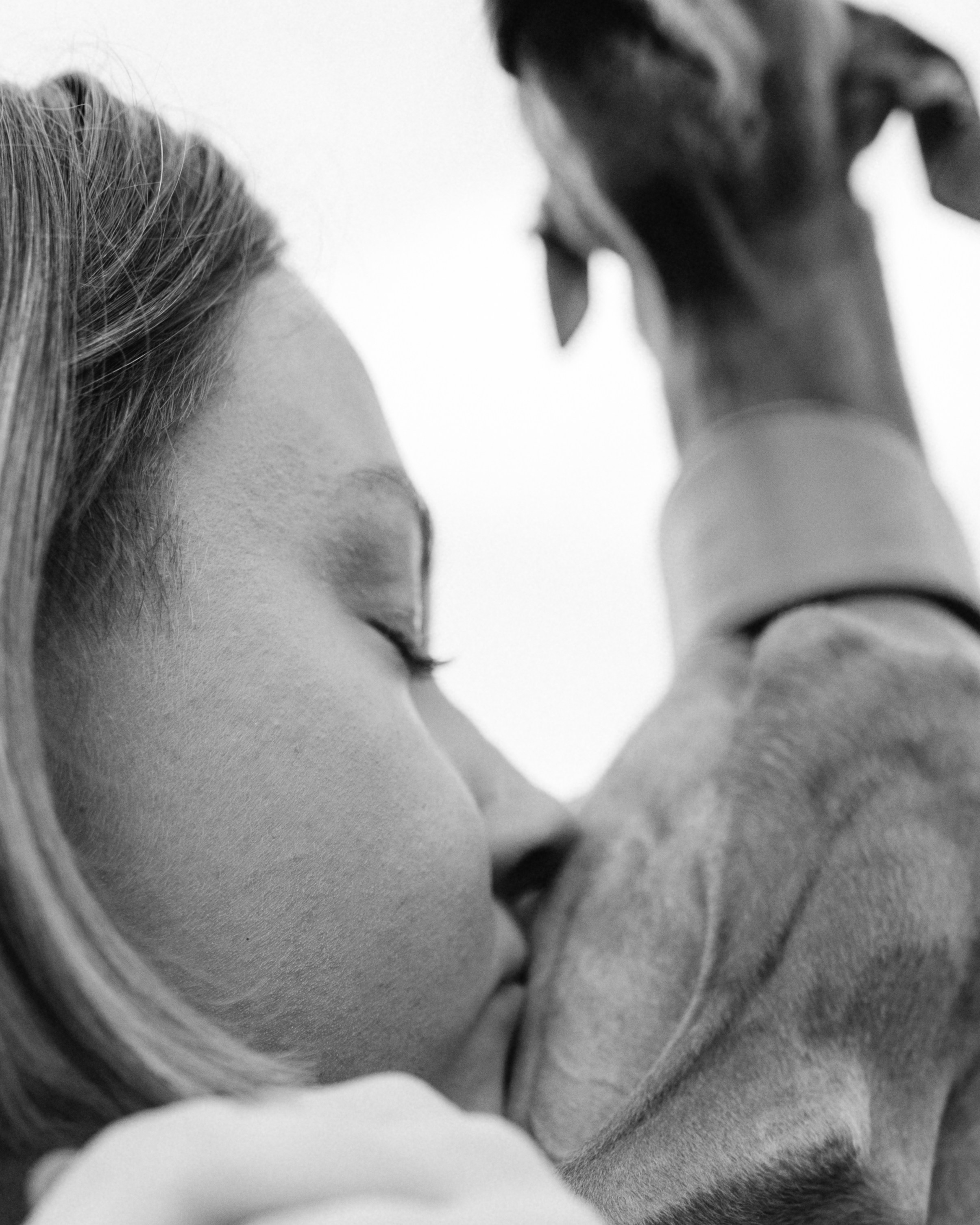 Хвост, смех и лучшие подруги. Фотограф анималист в Москве Ольга Агушева