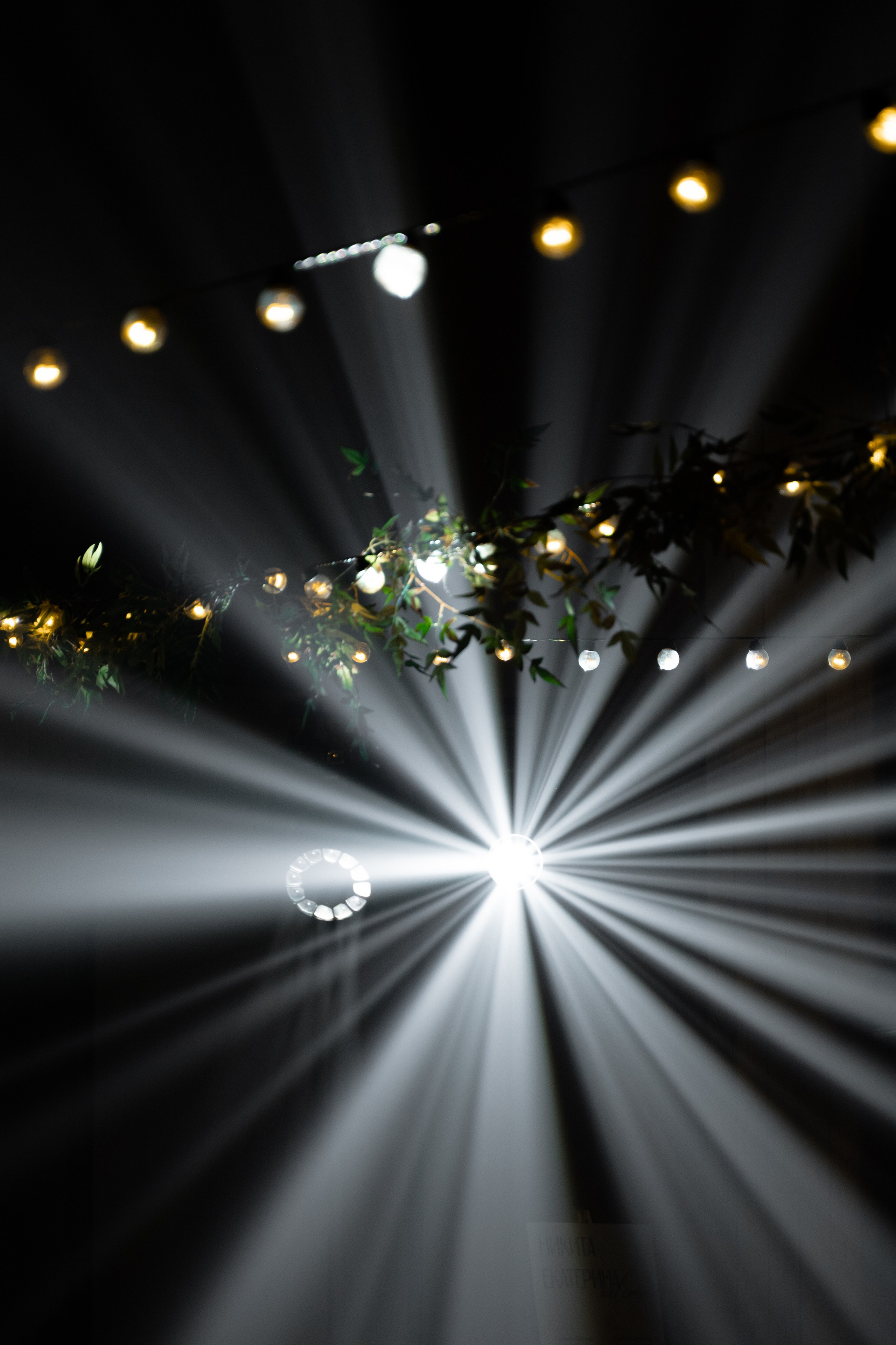 Екатерина & Никита. Свадебный и семейный фотограф Тюмень Екатеринбург Москвина Алёна