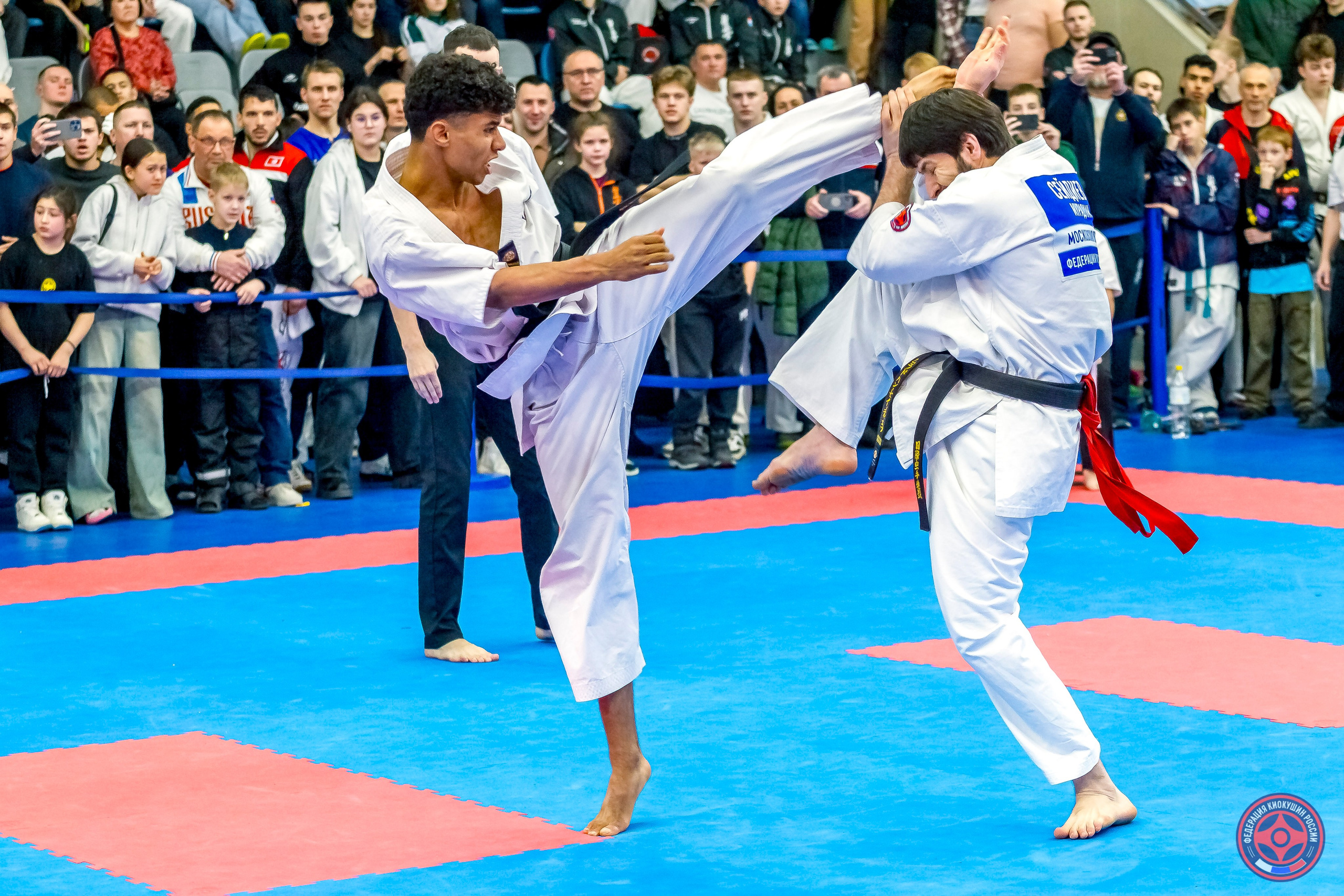 Международный турнир по киокушин «Открытый кубок Seiken». Репортажная съемка в Москве и области. Анималистика