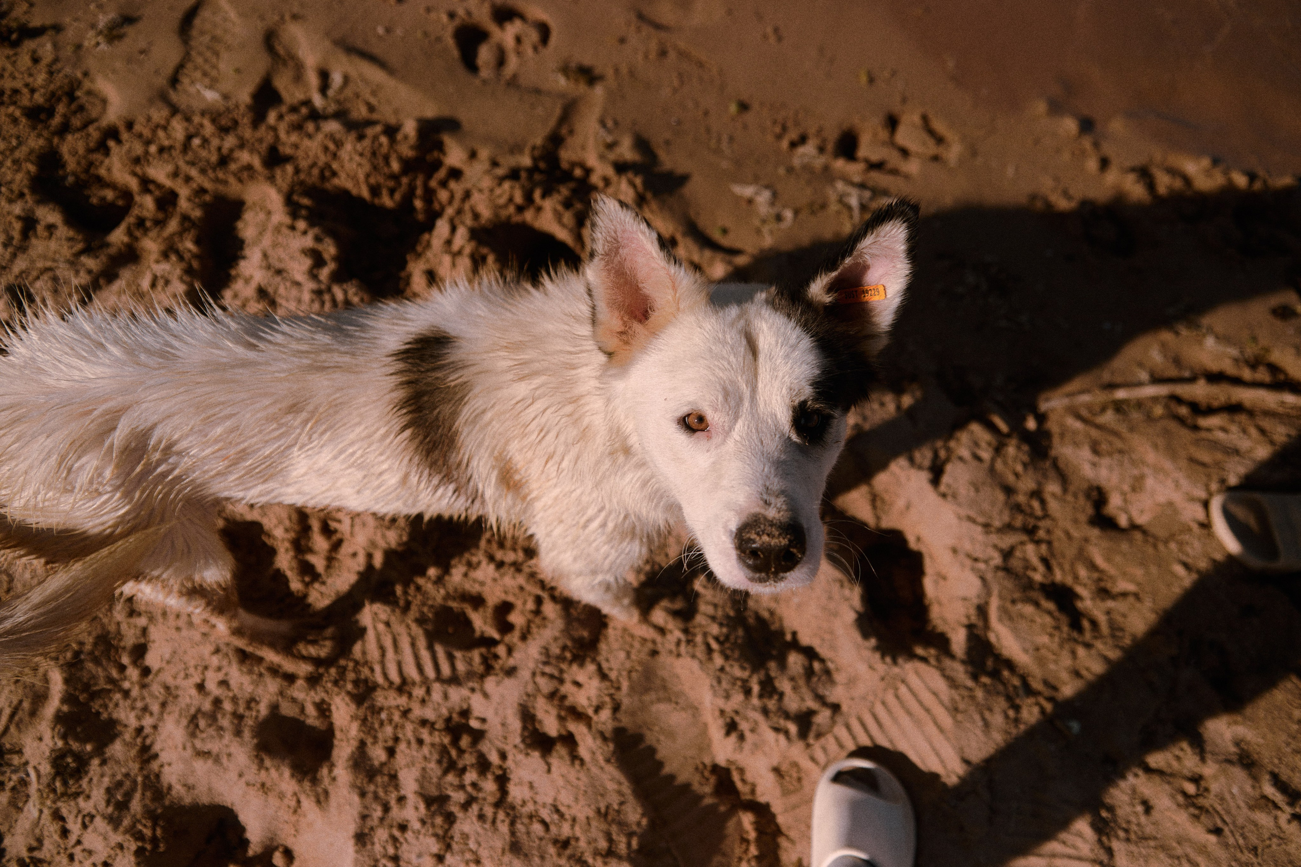Улица горизонтальная. Jorgis — фотограф в Хургаде / обучение фотографии